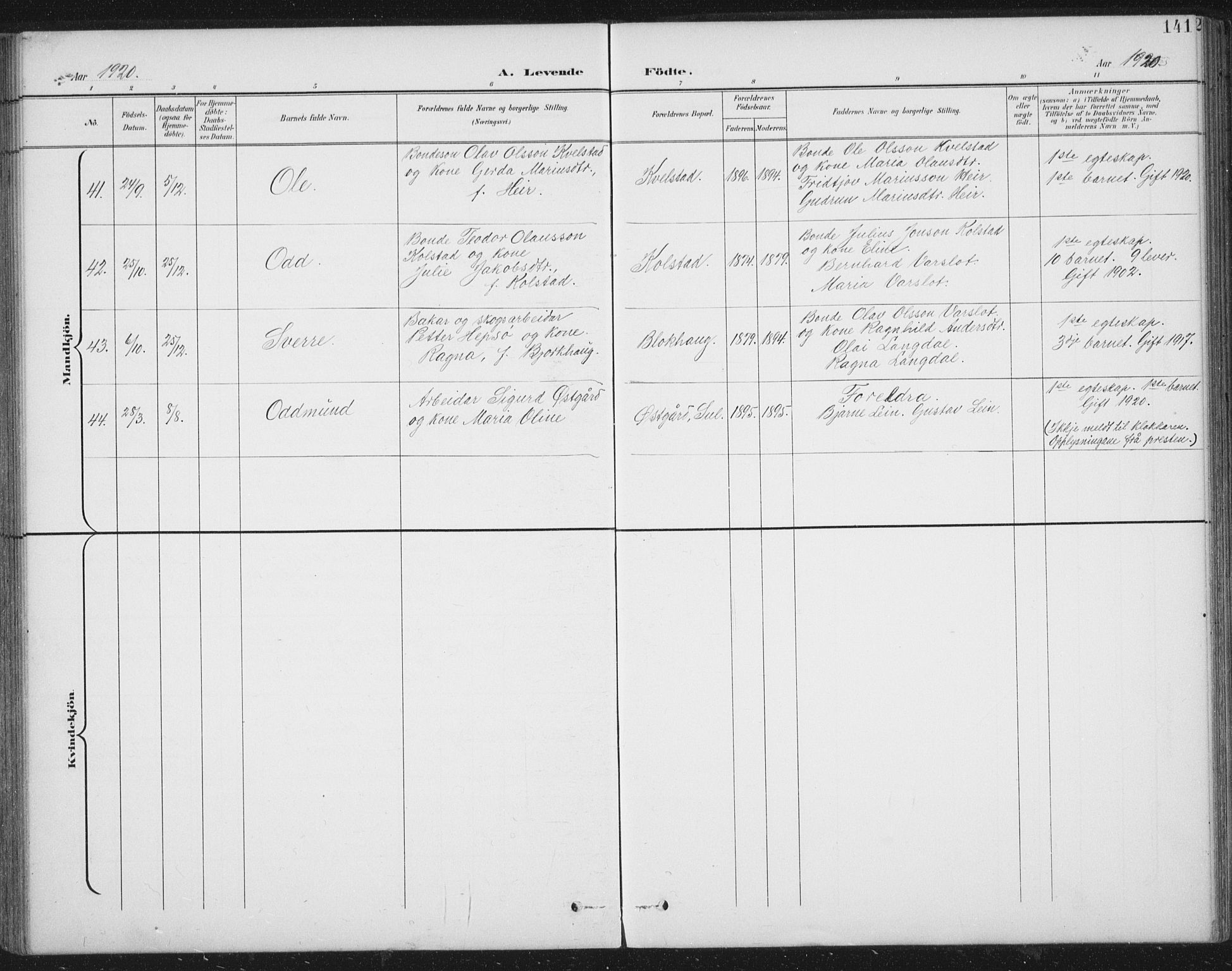 Ministerialprotokoller, klokkerbøker og fødselsregistre - Nord-Trøndelag, SAT/A-1458/724/L0269: Parish register (copy) no. 724C05, 1899-1920, p. 141