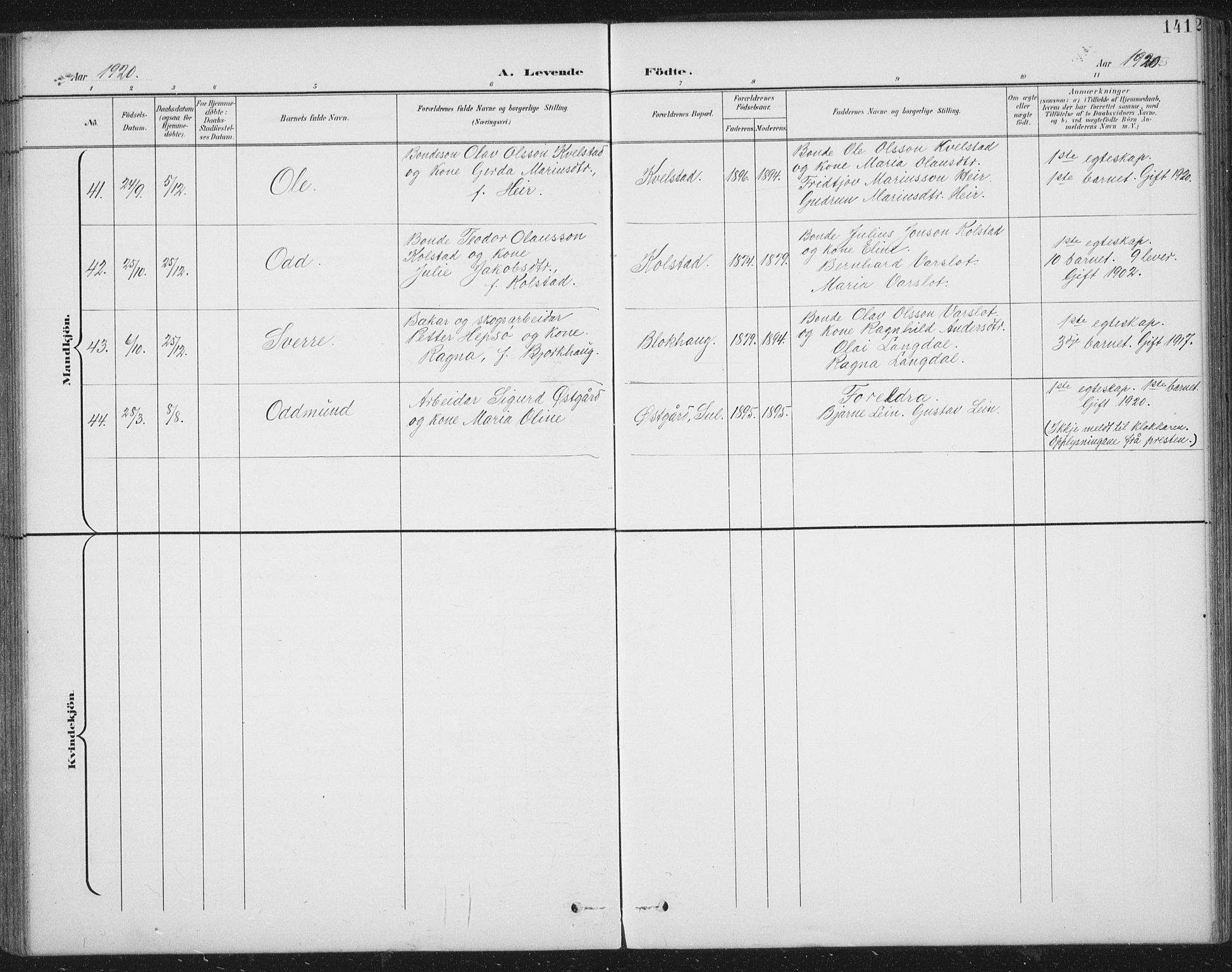 Ministerialprotokoller, klokkerbøker og fødselsregistre - Nord-Trøndelag, AV/SAT-A-1458/724/L0269: Parish register (copy) no. 724C05, 1899-1920, p. 141