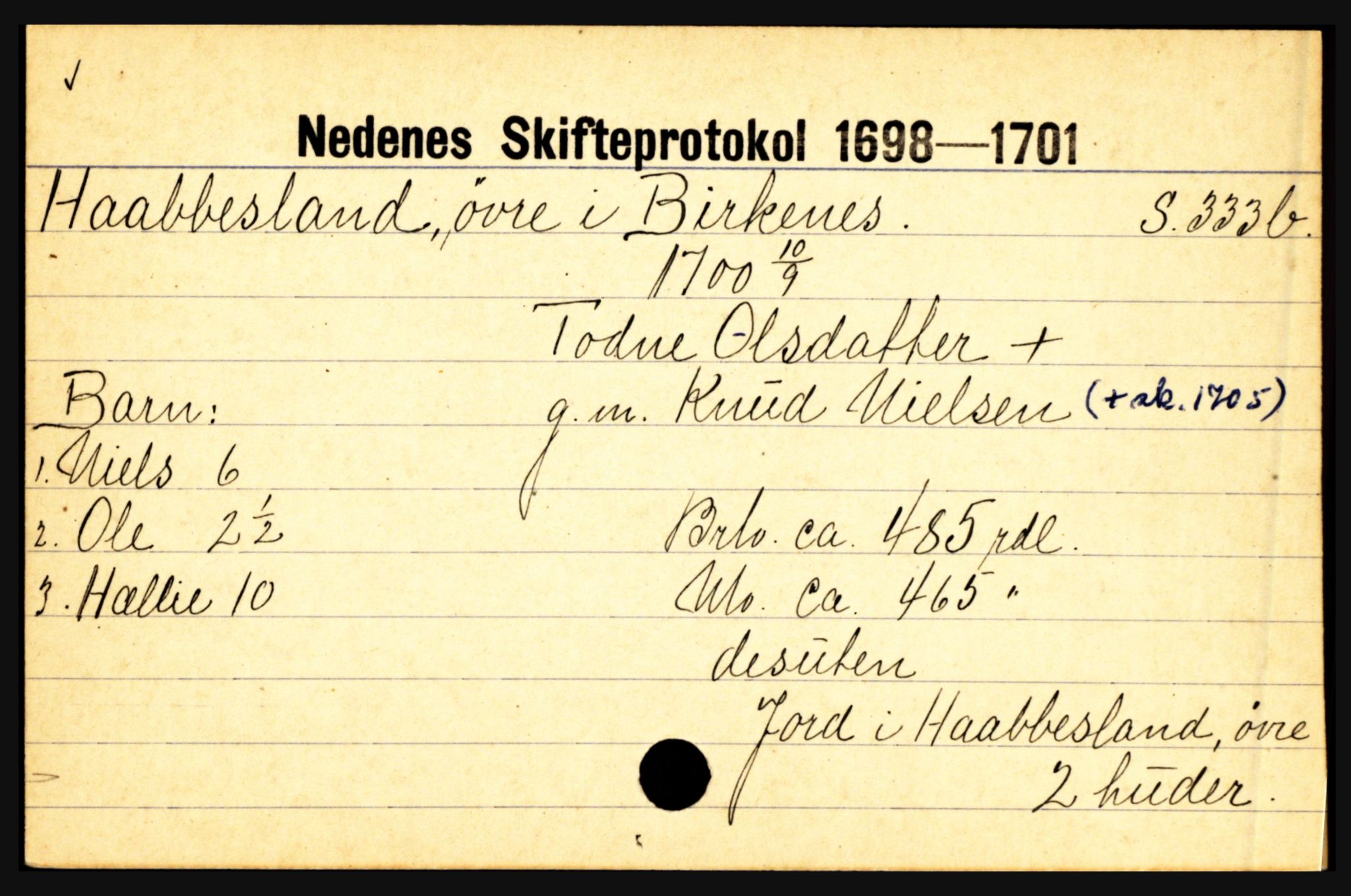 Nedenes sorenskriveri før 1824, AV/SAK-1221-0007/H, p. 13703