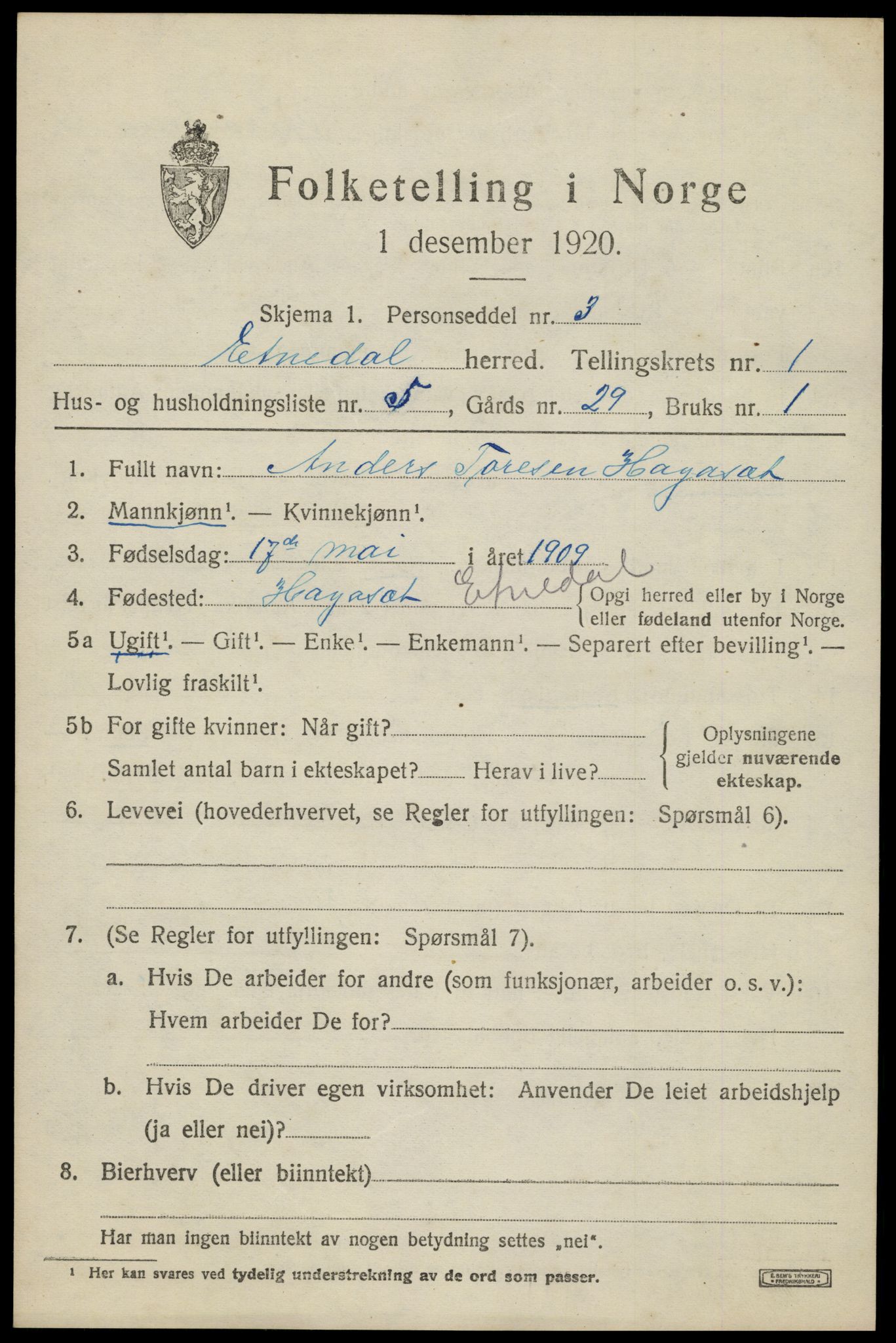 SAH, 1920 census for Etnedal, 1920, p. 816