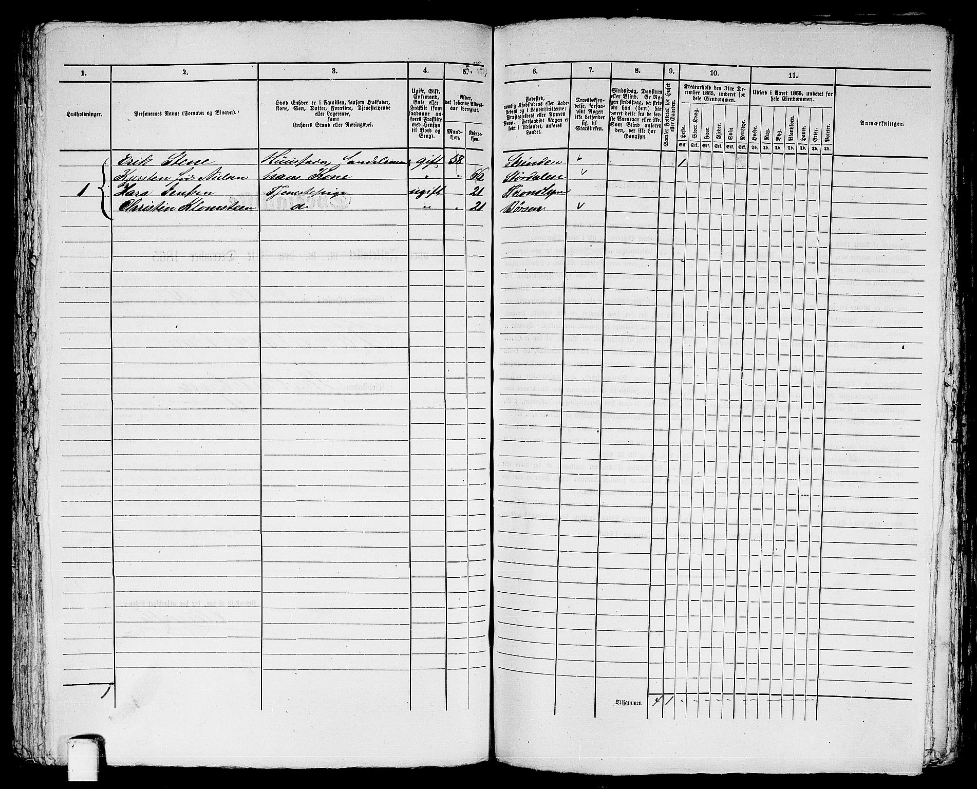 RA, 1865 census for Trondheim, 1865, p. 1719