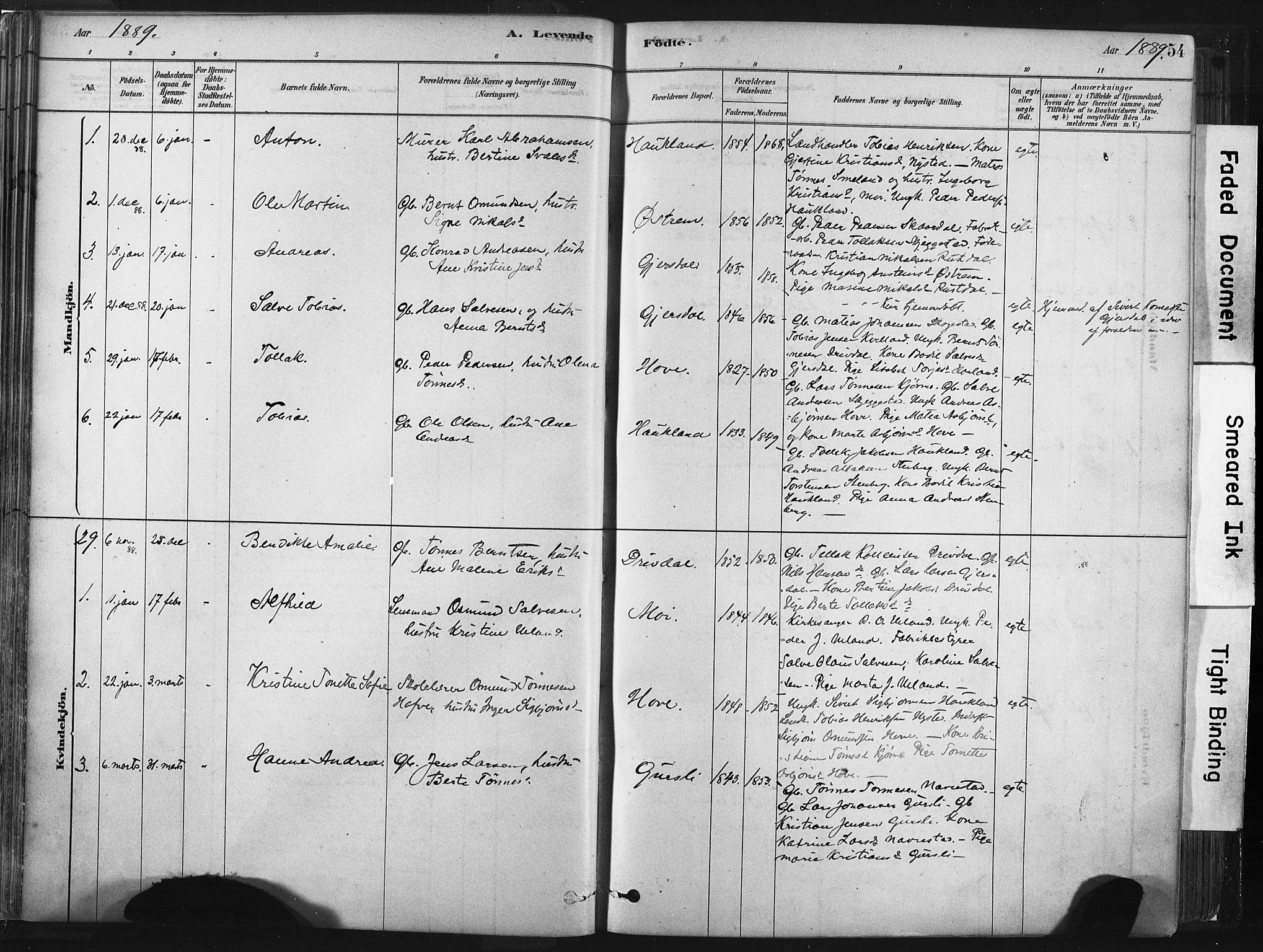 Lund sokneprestkontor, SAST/A-101809/S06/L0011: Parish register (official) no. A 10, 1877-1904, p. 54