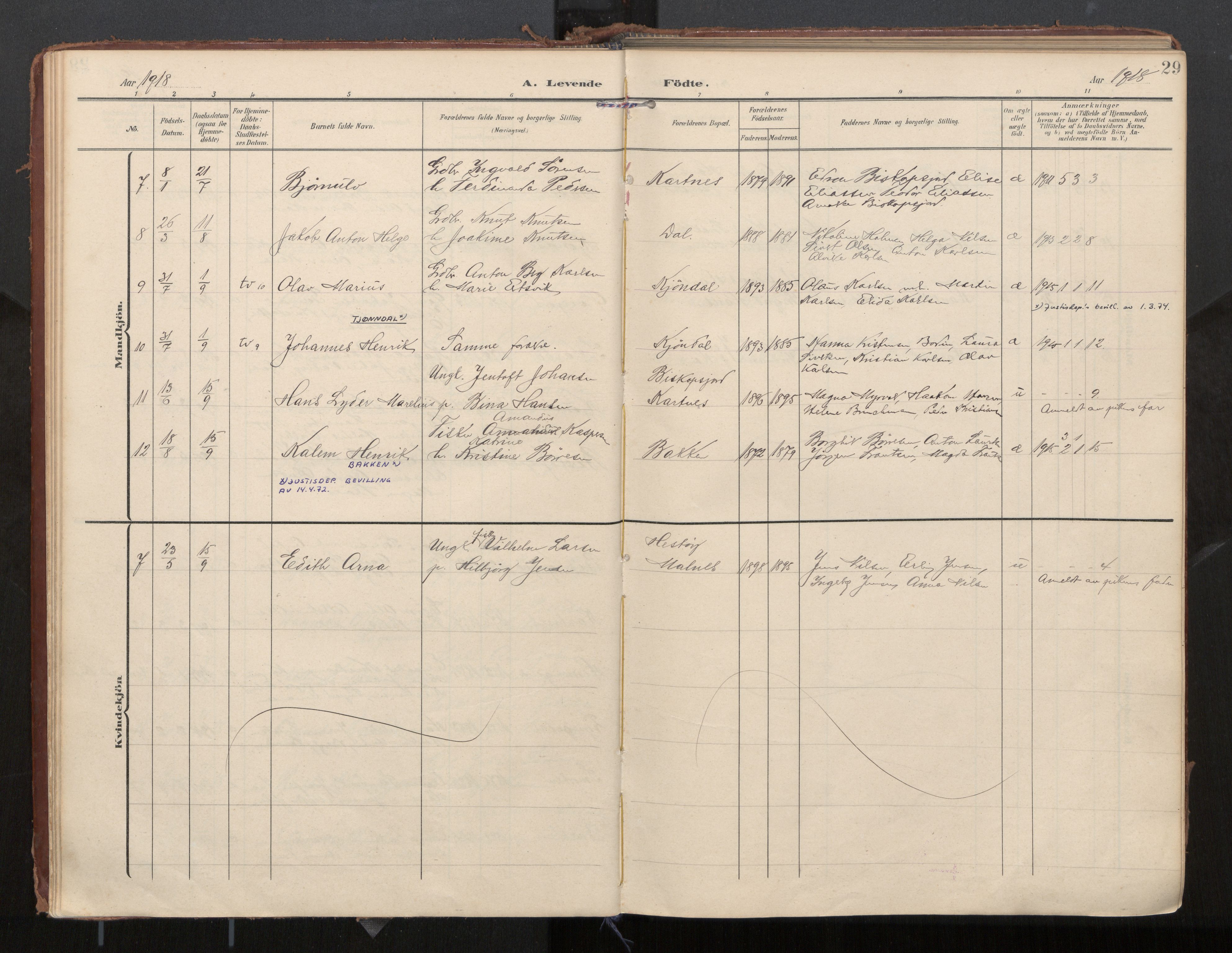 Ministerialprotokoller, klokkerbøker og fødselsregistre - Nordland, AV/SAT-A-1459/884/L1194: Parish register (official) no. 884A02, 1906-1937, p. 29