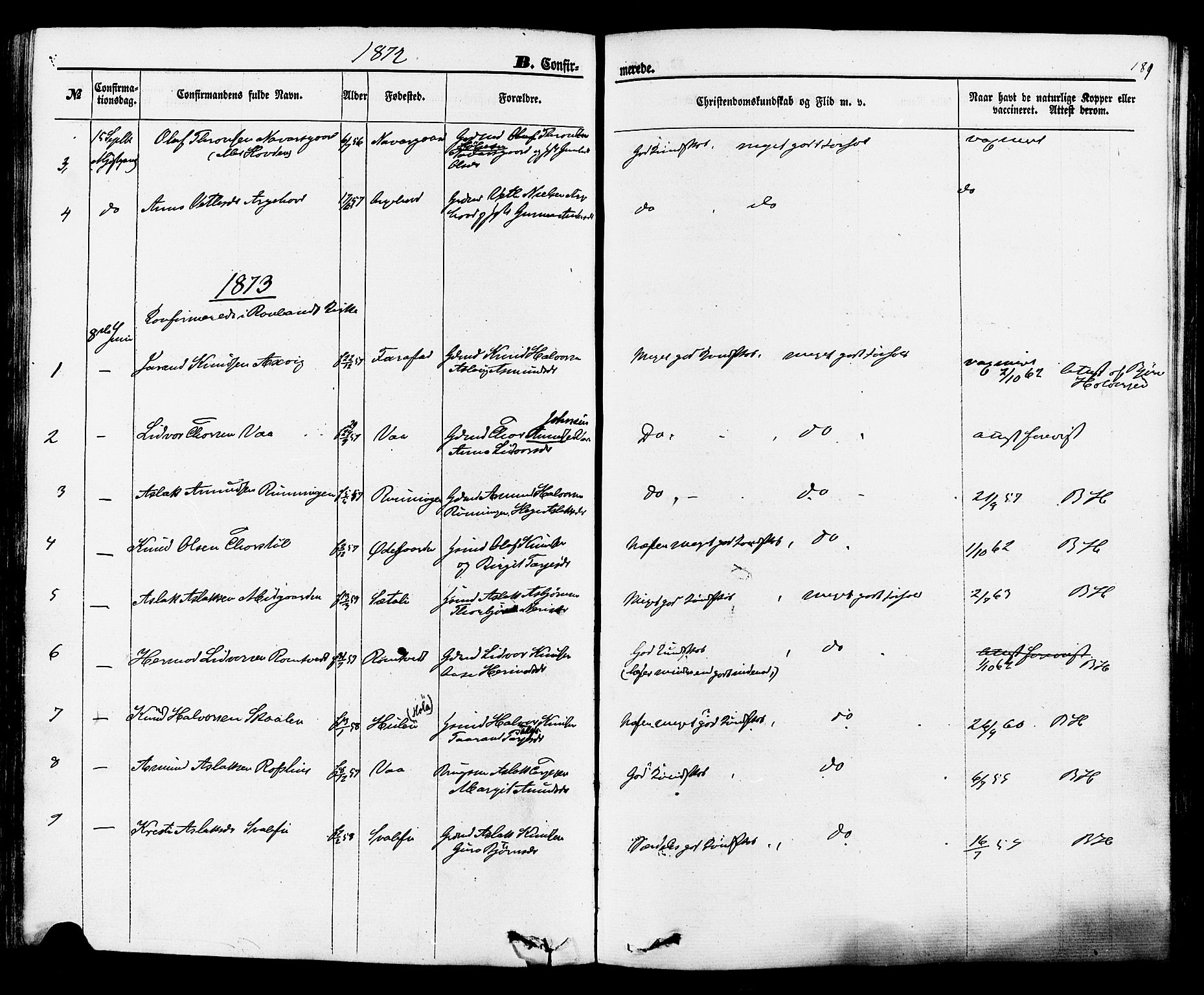 Rauland kirkebøker, SAKO/A-292/F/Fa/L0003: Parish register (official) no. 3, 1859-1886, p. 181