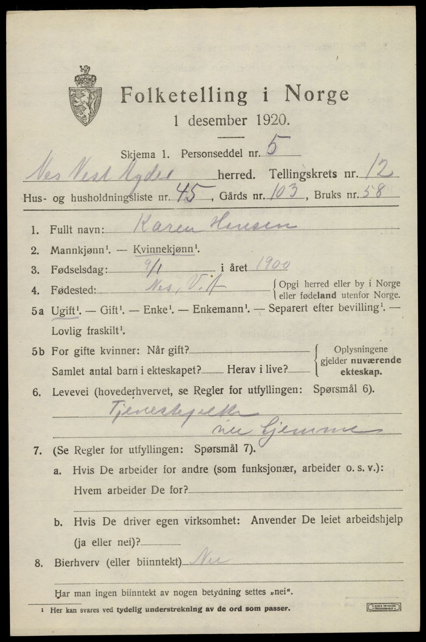 SAK, 1920 census for Nes (V-A), 1920, p. 4812