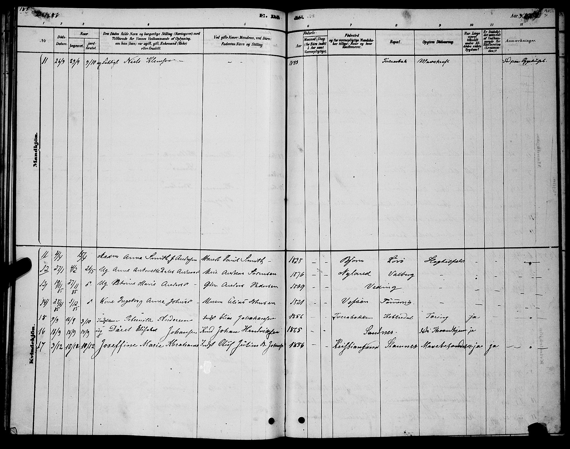 Ministerialprotokoller, klokkerbøker og fødselsregistre - Nordland, AV/SAT-A-1459/831/L0477: Parish register (copy) no. 831C04, 1878-1897, p. 185