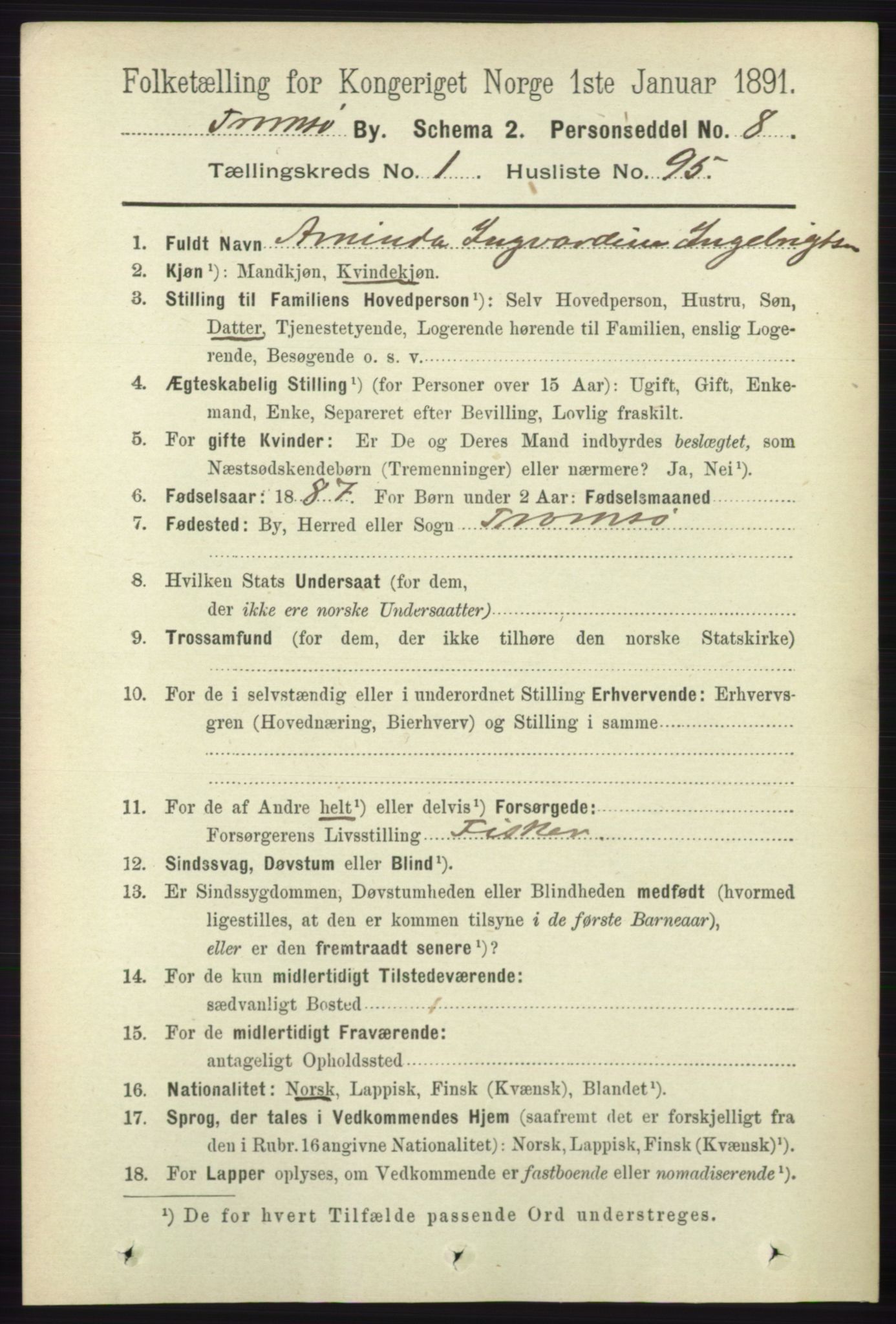 RA, 1891 census for 1902 Tromsø, 1891, p. 1266