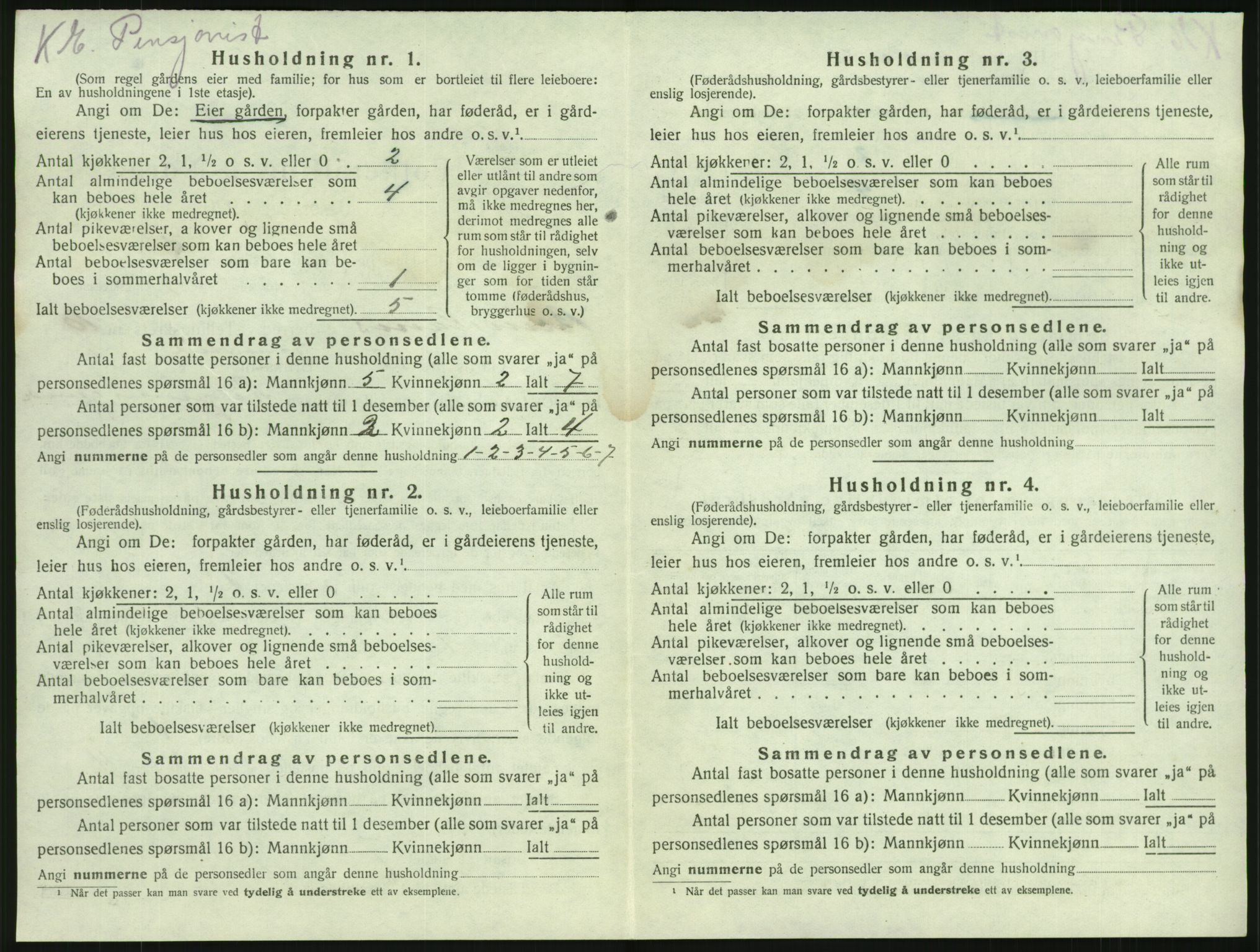 SAKO, 1920 census for Brunlanes, 1920, p. 1262
