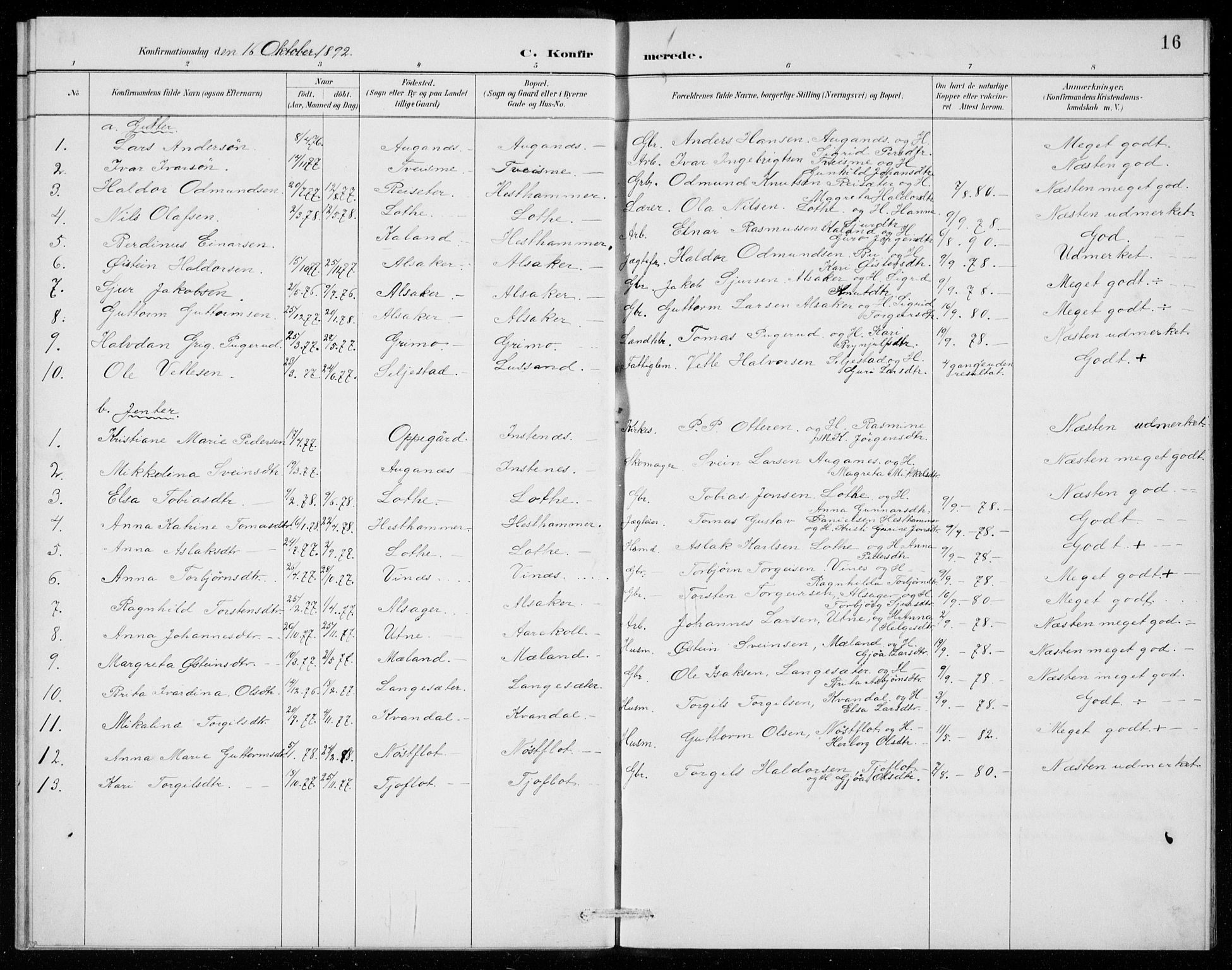Ullensvang sokneprestembete, SAB/A-78701/H/Hab: Parish register (copy) no. E  8, 1887-1923, p. 16