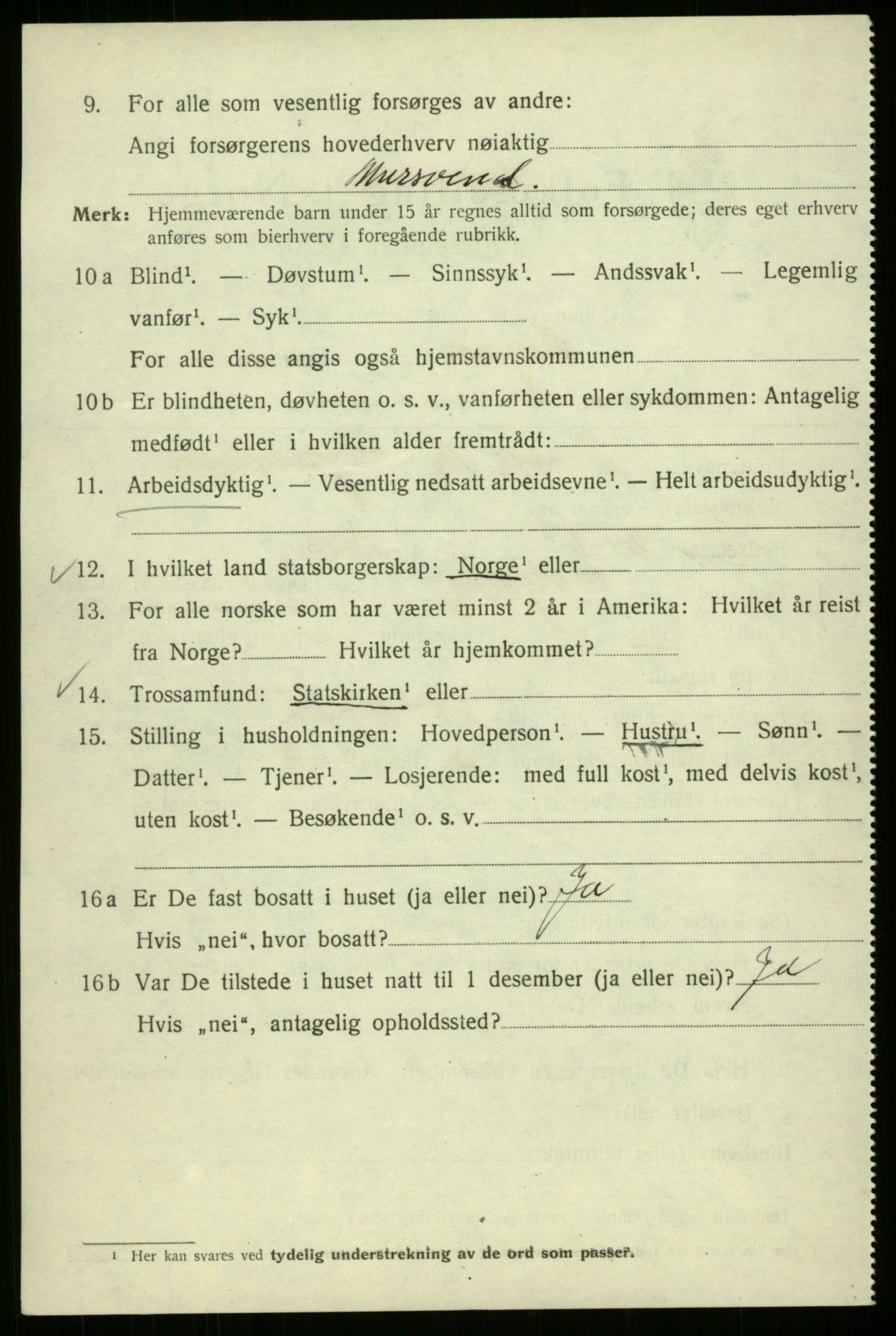 SAB, 1920 census for Bergen, 1920, p. 141029