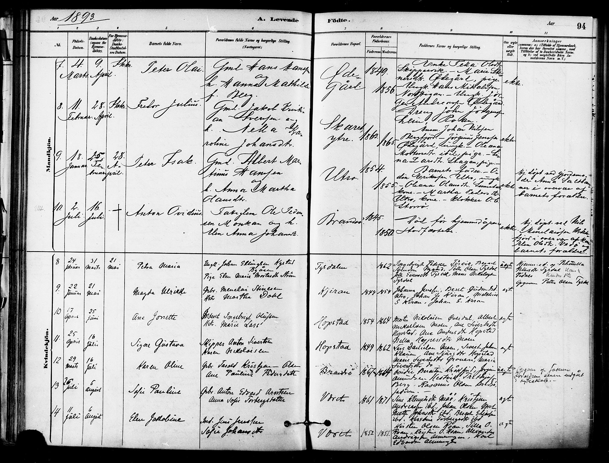 Ministerialprotokoller, klokkerbøker og fødselsregistre - Sør-Trøndelag, SAT/A-1456/657/L0707: Parish register (official) no. 657A08, 1879-1893, p. 94