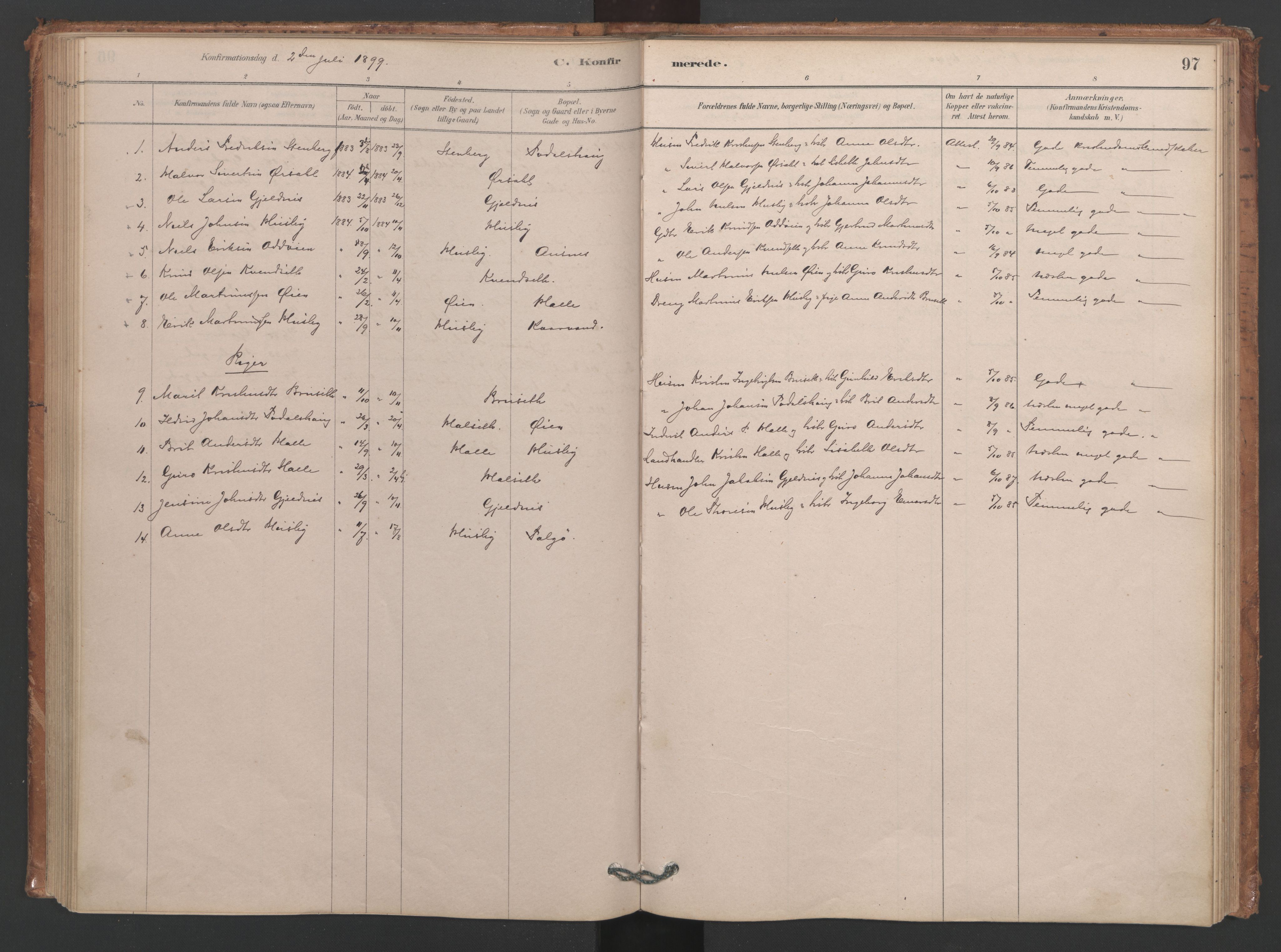 Ministerialprotokoller, klokkerbøker og fødselsregistre - Møre og Romsdal, SAT/A-1454/593/L1034: Parish register (official) no. 593A01, 1879-1911, p. 97