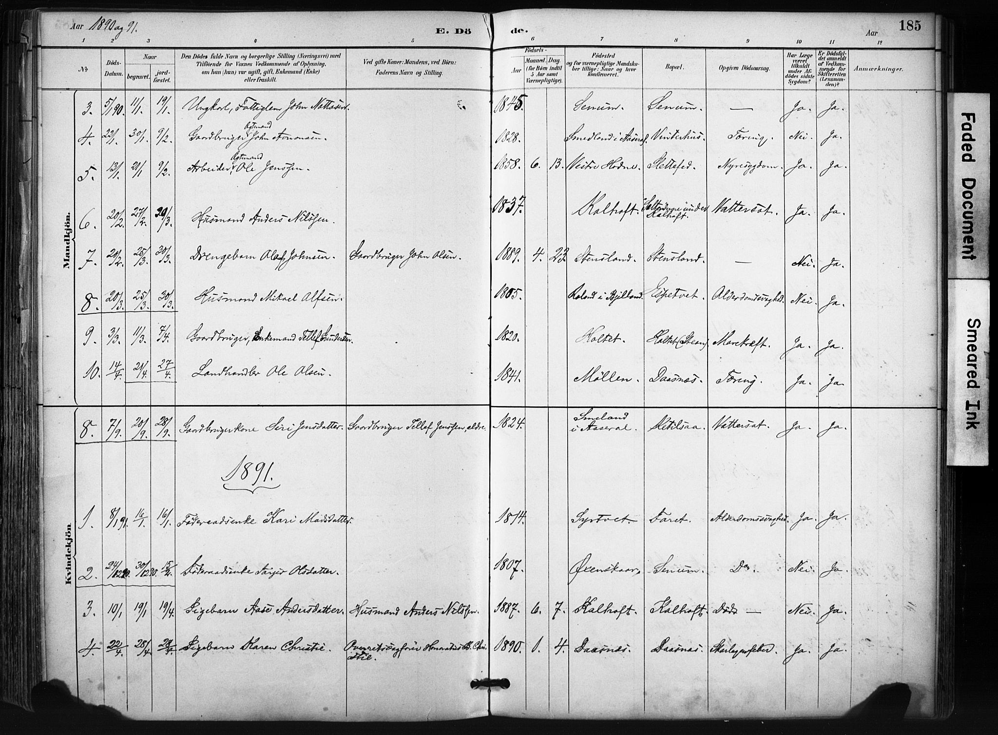 Evje sokneprestkontor, SAK/1111-0008/F/Fa/Fab/L0003: Parish register (official) no. A 3, 1884-1909, p. 185