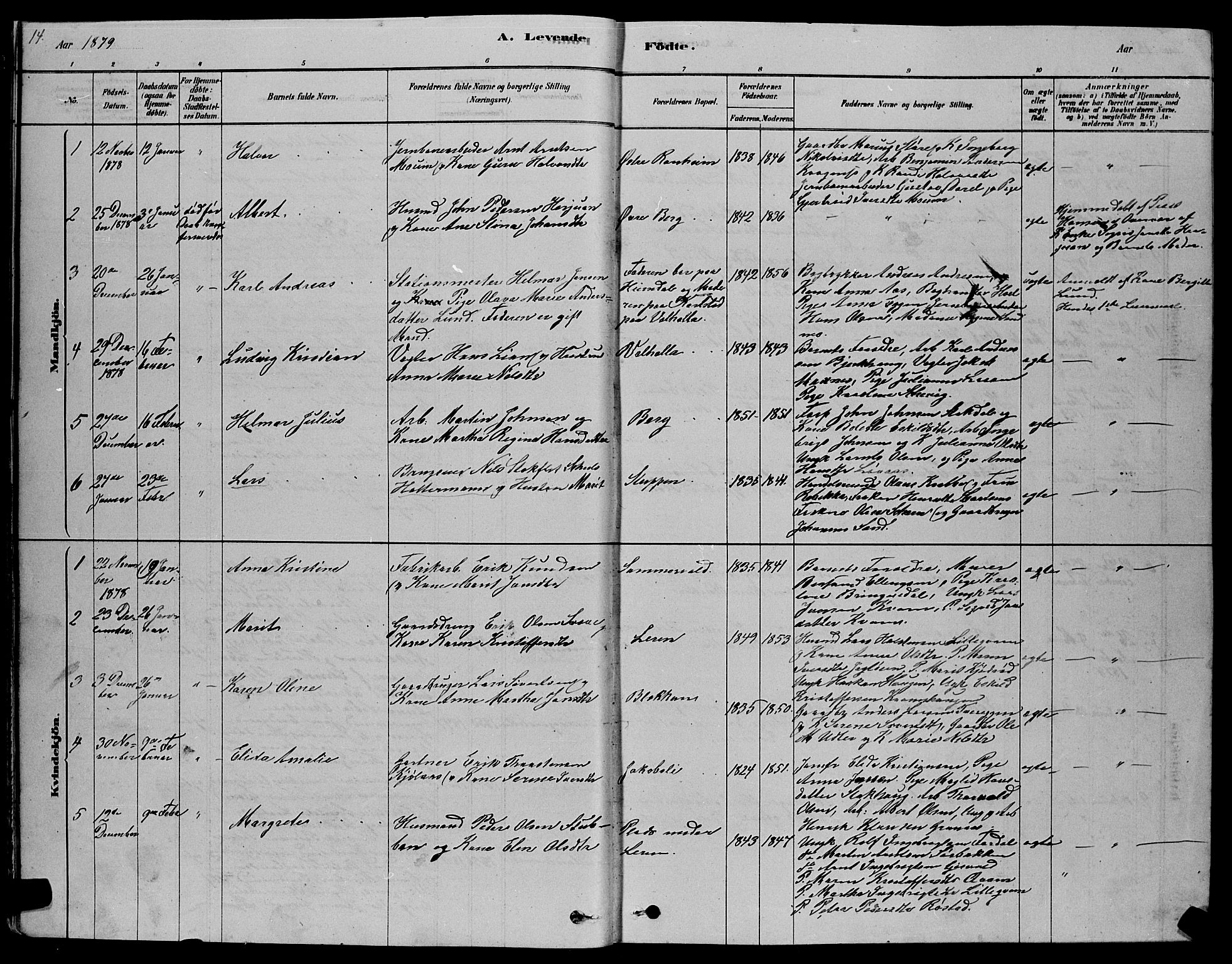 Ministerialprotokoller, klokkerbøker og fødselsregistre - Sør-Trøndelag, SAT/A-1456/606/L0312: Parish register (copy) no. 606C08, 1878-1894, p. 14