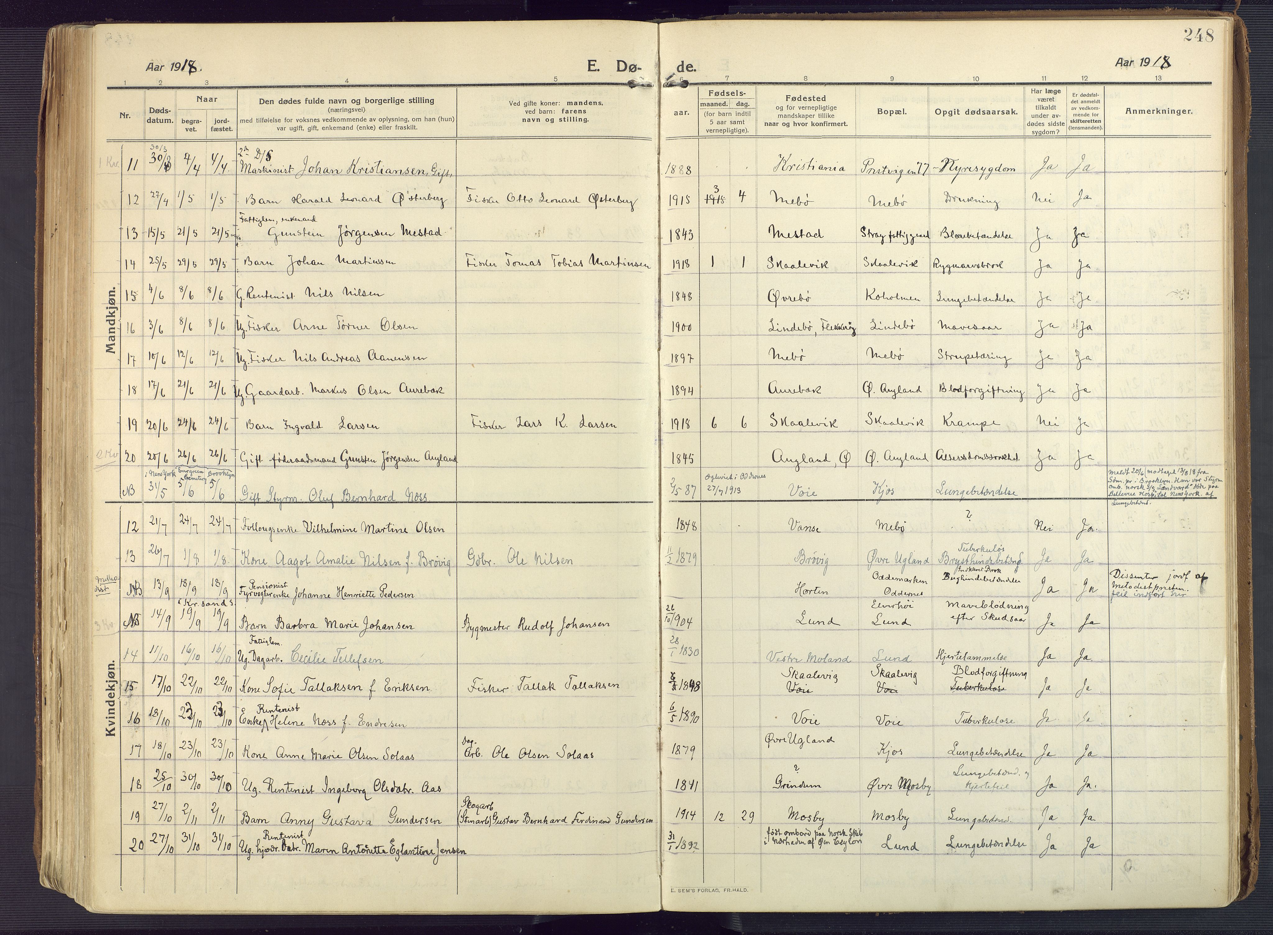 Oddernes sokneprestkontor, AV/SAK-1111-0033/F/Fa/Faa/L0012: Parish register (official) no. A 12, 1912-1925, p. 248