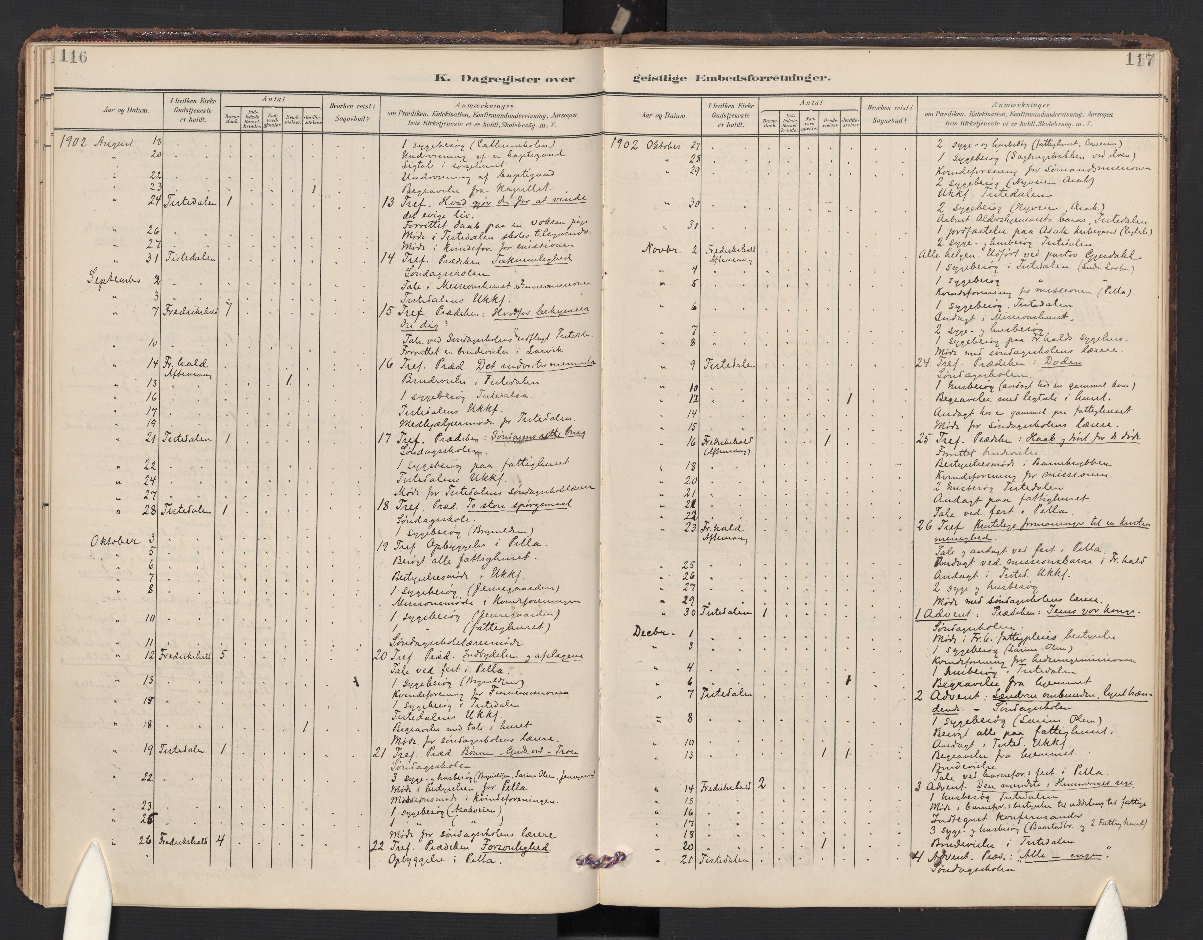 Halden prestekontor Kirkebøker, AV/SAO-A-10909/F/Fc/L0001: Parish register (official) no. III 1, 1902-1908, p. 116-117