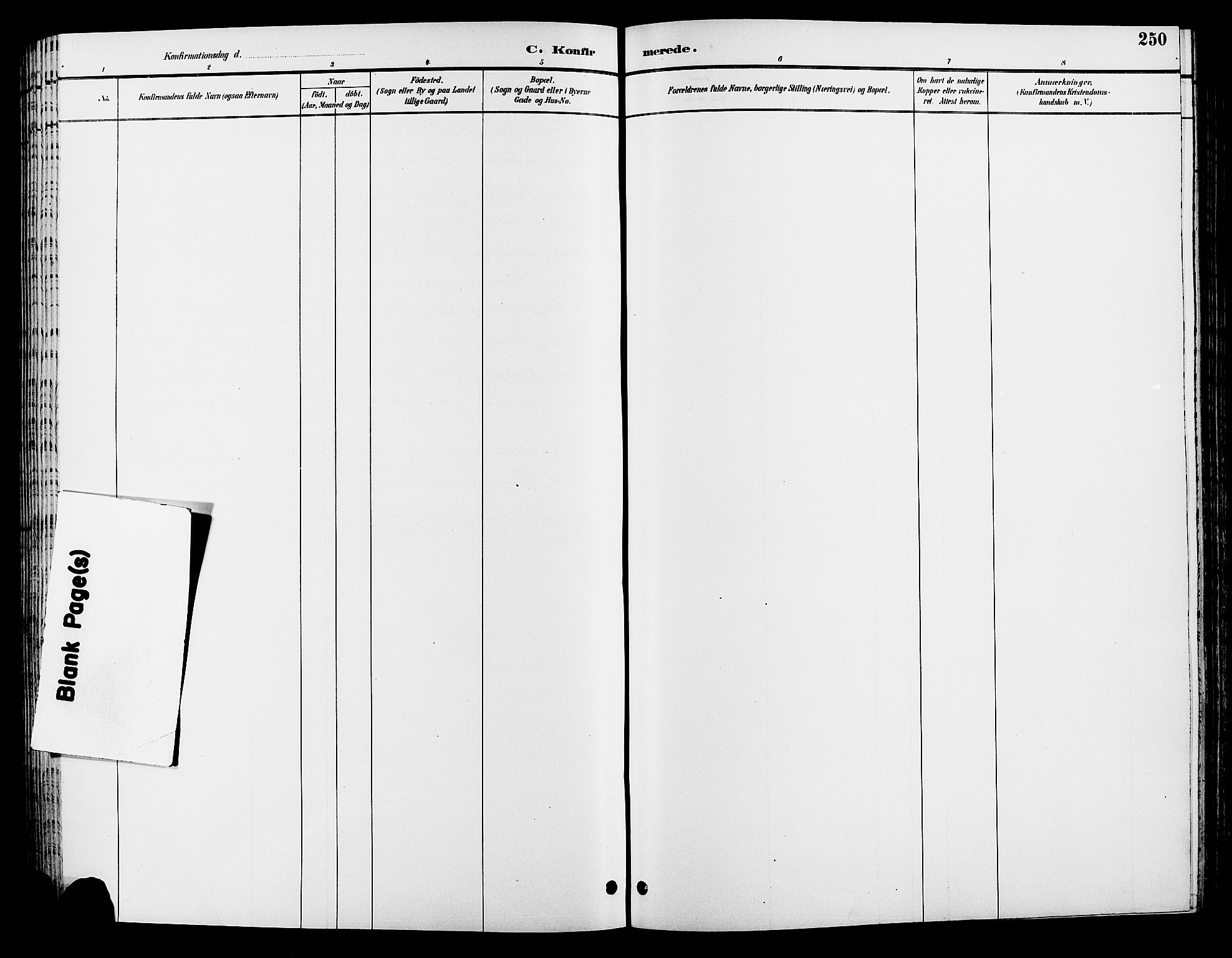 Løten prestekontor, AV/SAH-PREST-022/L/La/L0006: Parish register (copy) no. 6, 1892-1909, p. 250