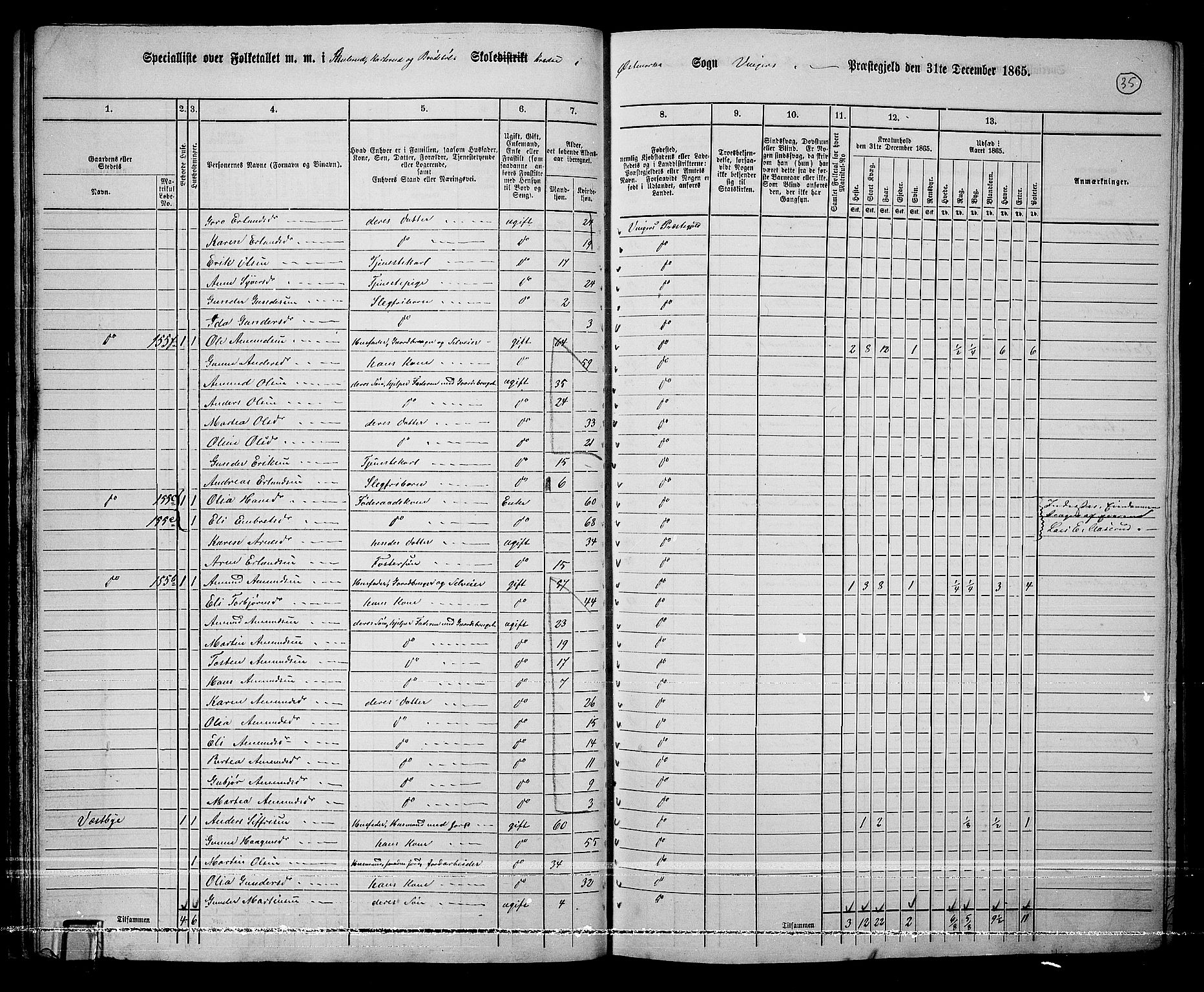 RA, 1865 census for Vinger/Vinger og Austmarka, 1865, p. 33