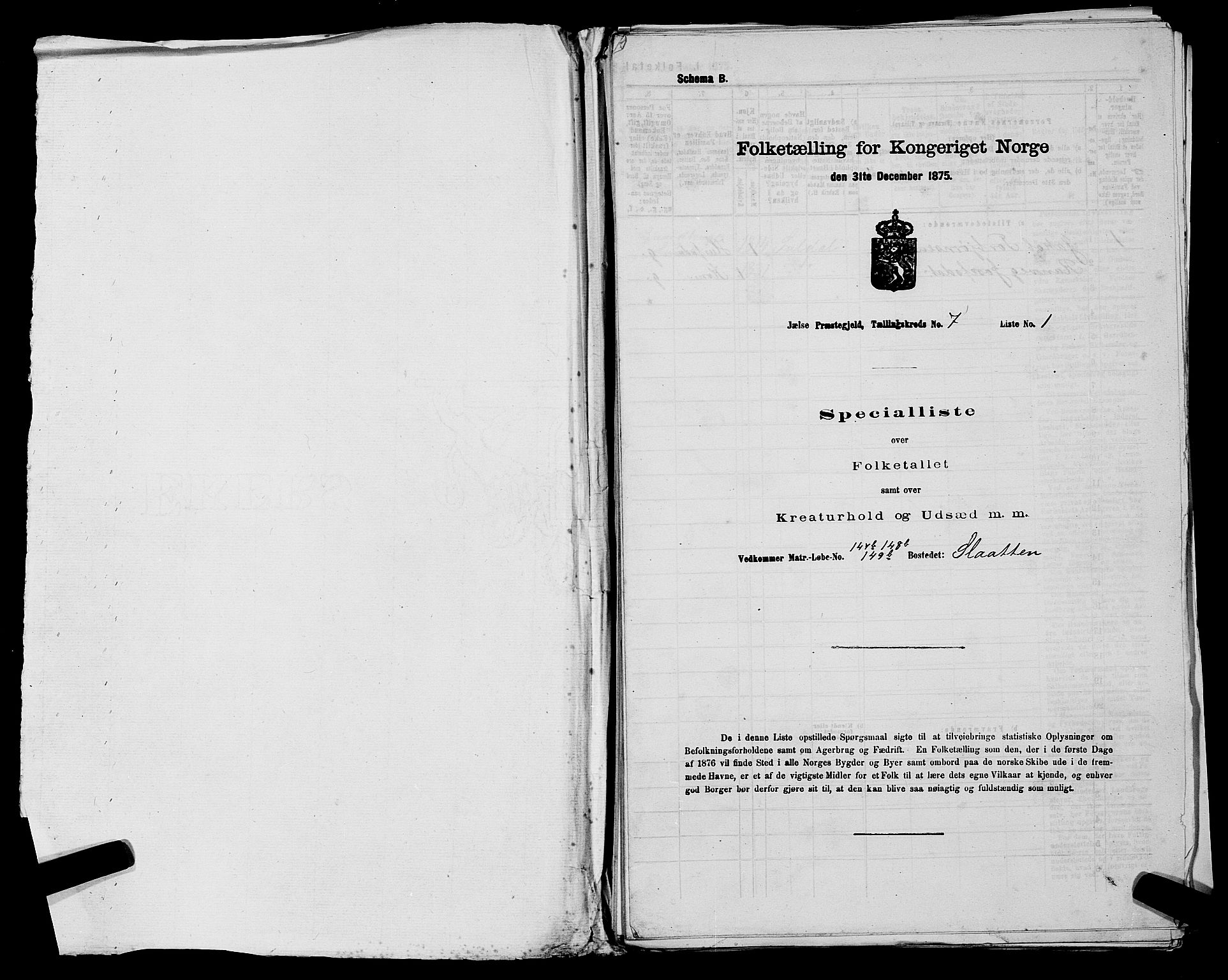 SAST, 1875 census for 1138P Jelsa, 1875, p. 585