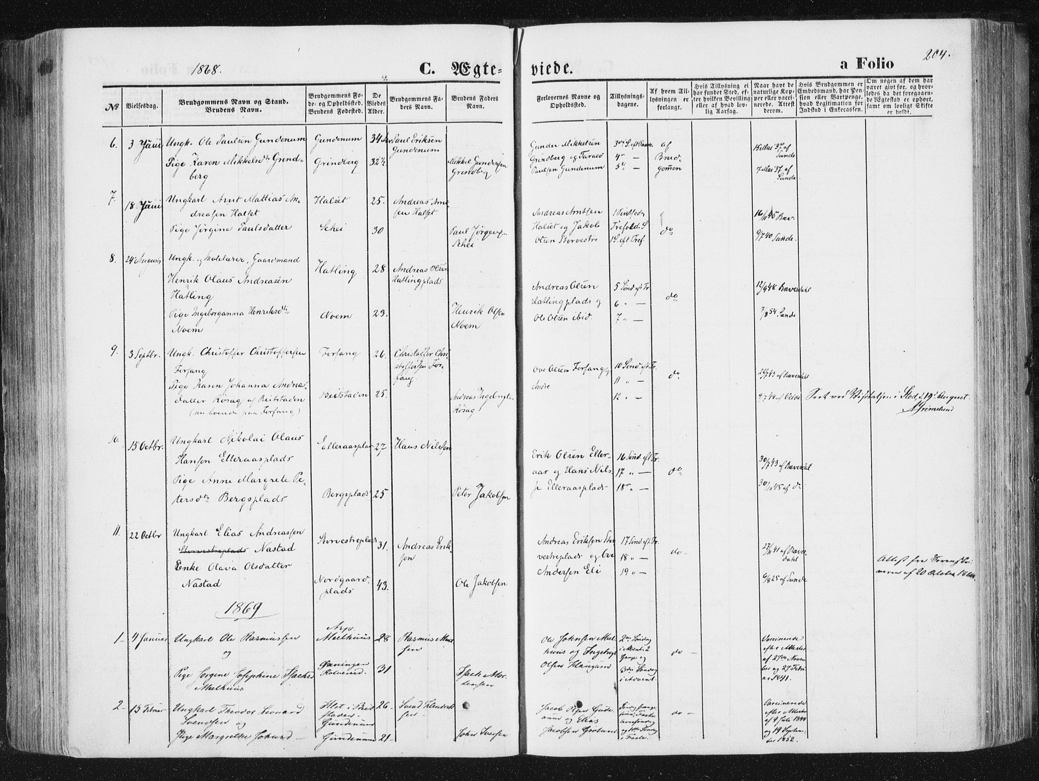 Ministerialprotokoller, klokkerbøker og fødselsregistre - Nord-Trøndelag, SAT/A-1458/746/L0447: Parish register (official) no. 746A06, 1860-1877, p. 204