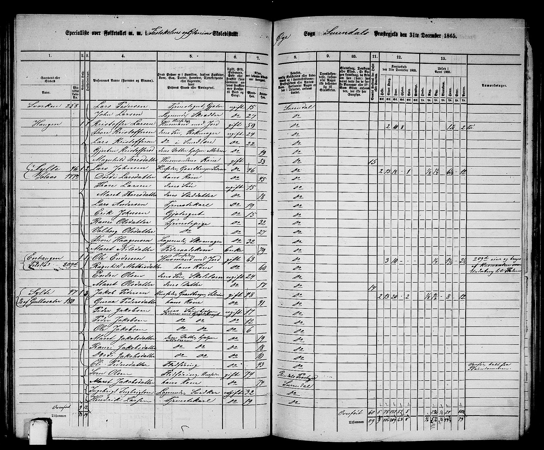 RA, 1865 census for Surnadal, 1865, p. 132