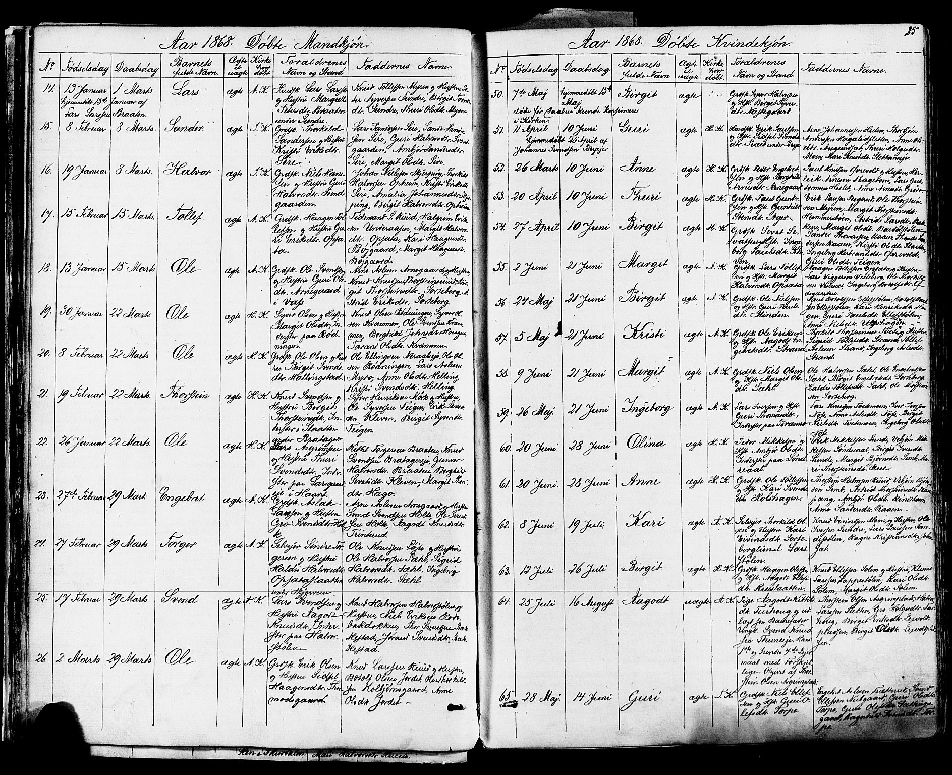 Ål kirkebøker, AV/SAKO-A-249/F/Fa/L0007: Parish register (official) no. I 7, 1865-1881, p. 25