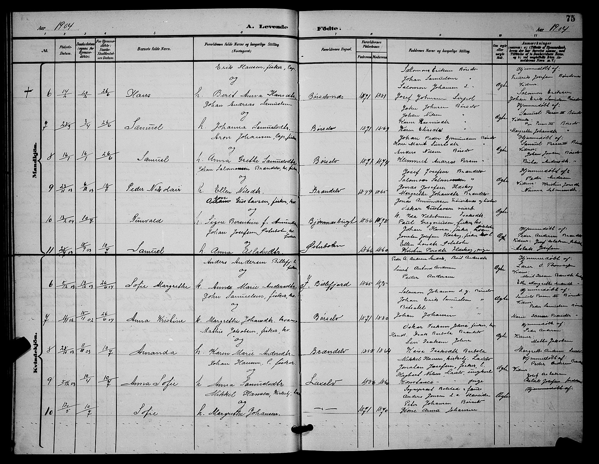 Kistrand/Porsanger sokneprestembete, AV/SATØ-S-1351/H/Hb/L0005.klokk: Parish register (copy) no. 5, 1895-1904, p. 75