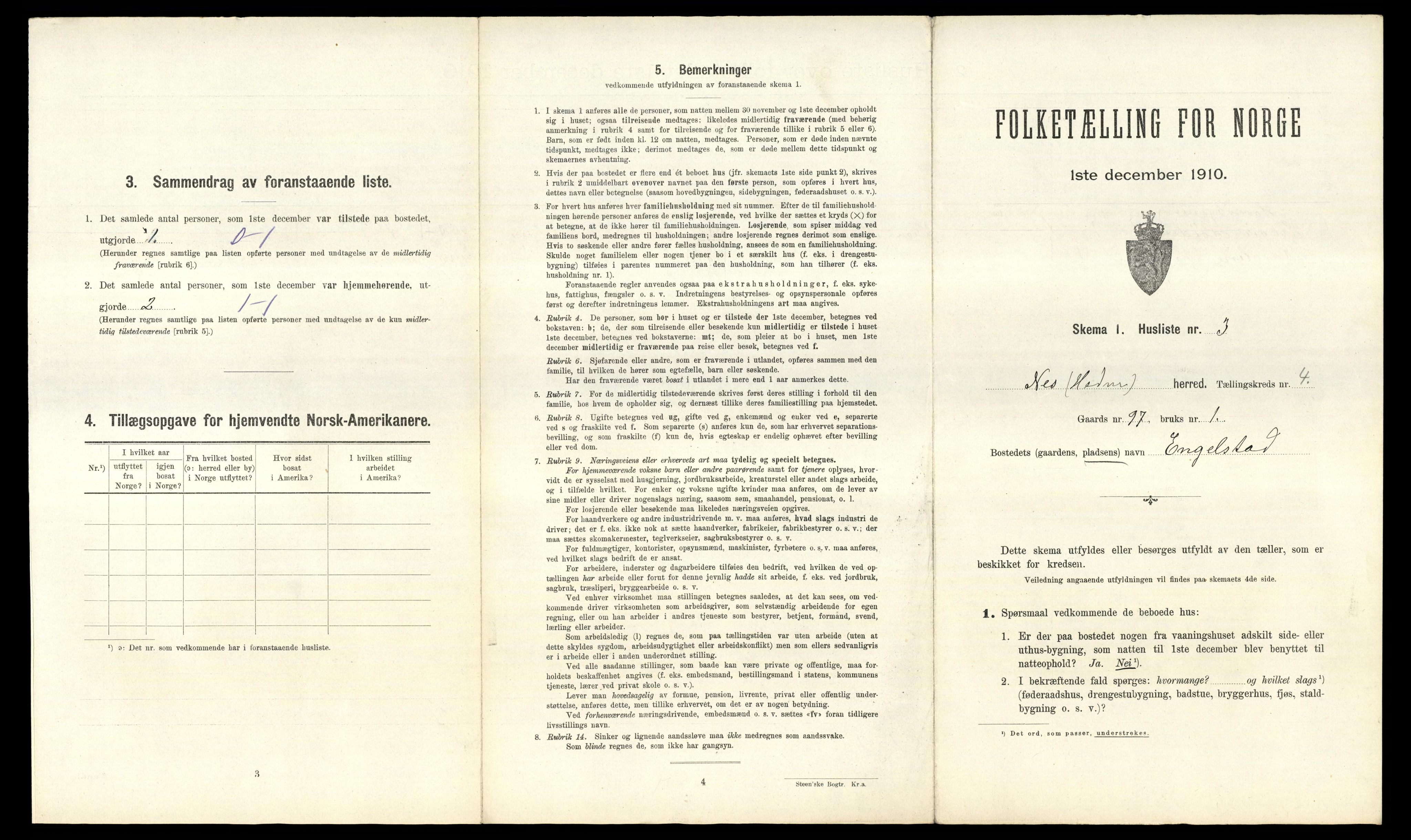 RA, 1910 census for Nes, 1910, p. 699