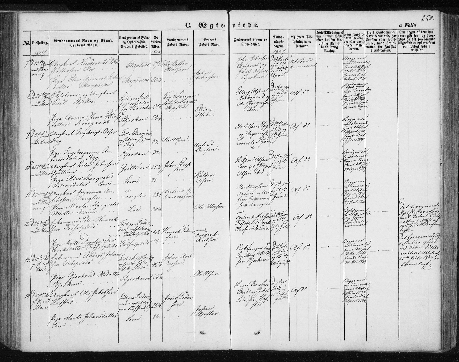 Ministerialprotokoller, klokkerbøker og fødselsregistre - Nord-Trøndelag, SAT/A-1458/735/L0342: Parish register (official) no. 735A07 /1, 1849-1862, p. 250
