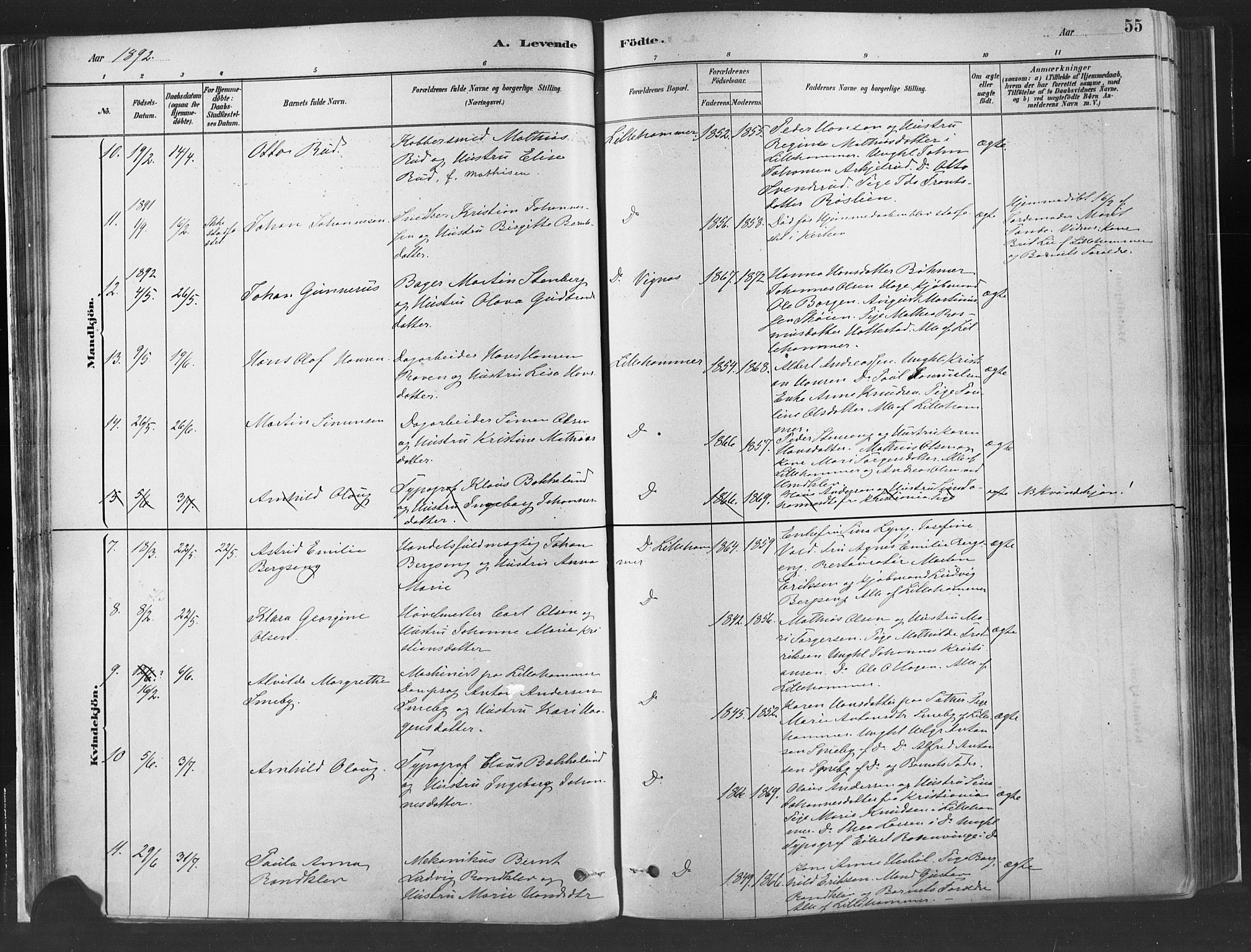 Fåberg prestekontor, SAH/PREST-086/H/Ha/Haa/L0010: Parish register (official) no. 10, 1879-1900, p. 55