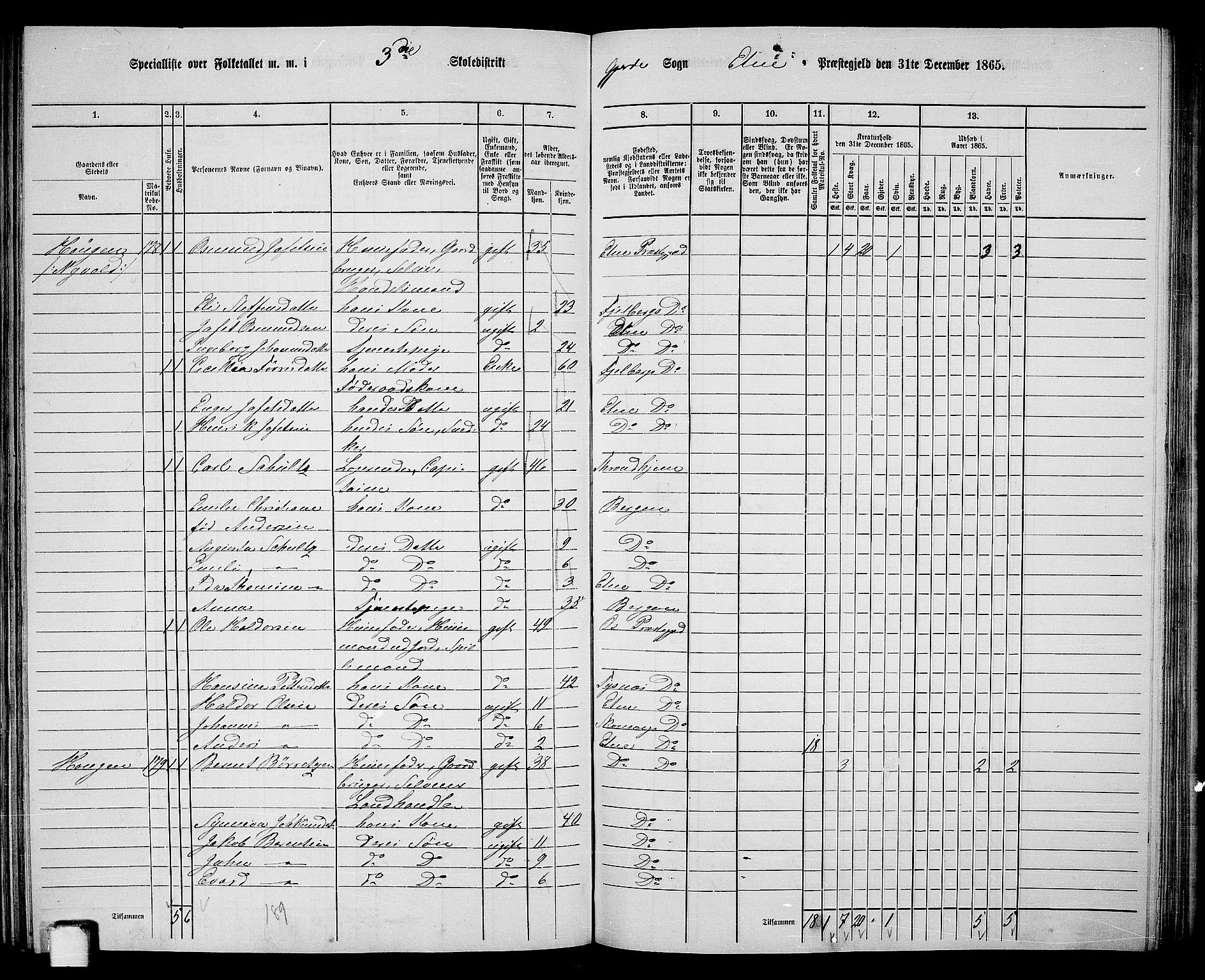 RA, 1865 census for Etne, 1865, p. 130
