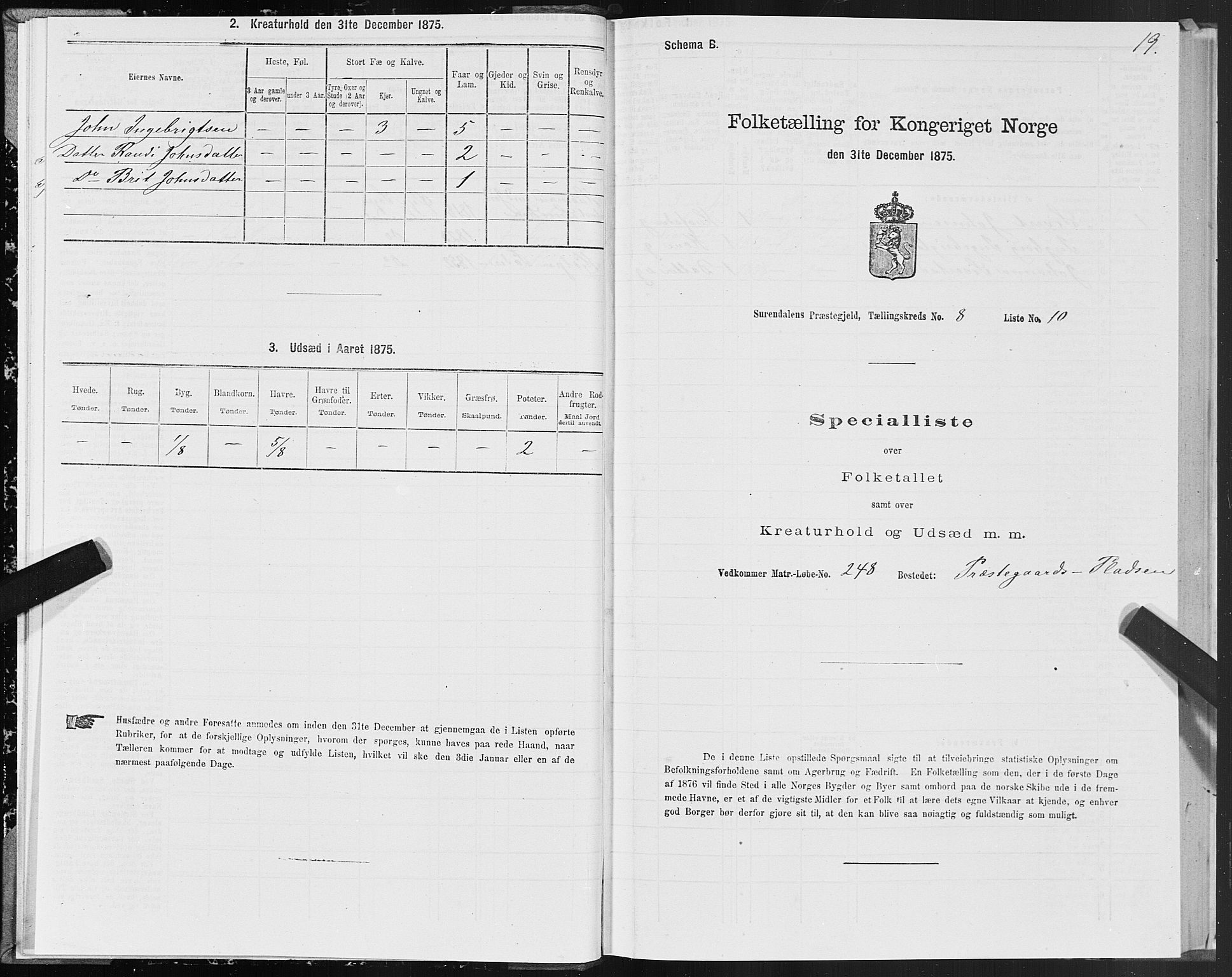 SAT, 1875 census for 1566P Surnadal, 1875, p. 4019