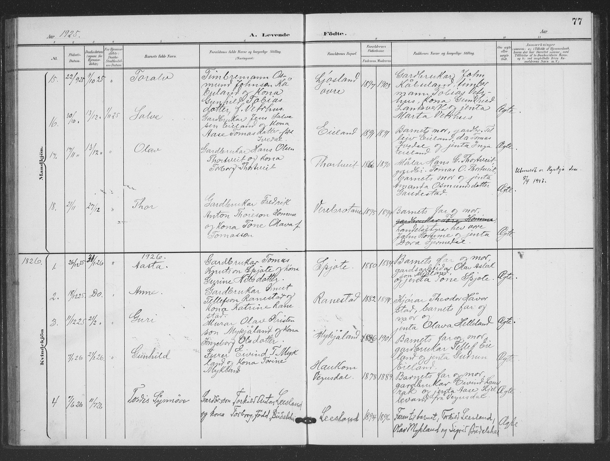 Evje sokneprestkontor, SAK/1111-0008/F/Fb/Fbc/L0005: Parish register (copy) no. B 5, 1901-1935, p. 77