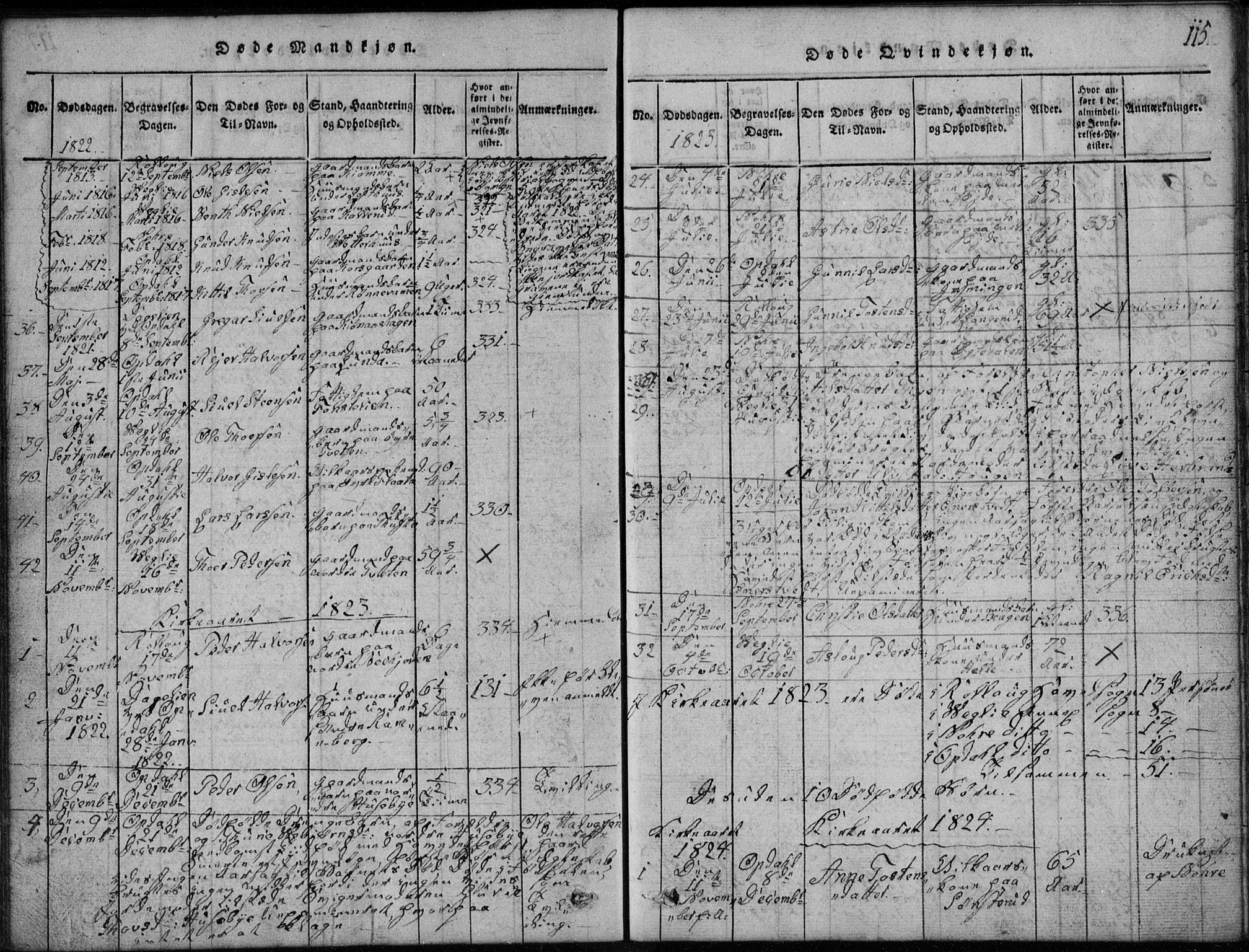 Rollag kirkebøker, AV/SAKO-A-240/G/Ga/L0001: Parish register (copy) no. I 1, 1814-1831, p. 115