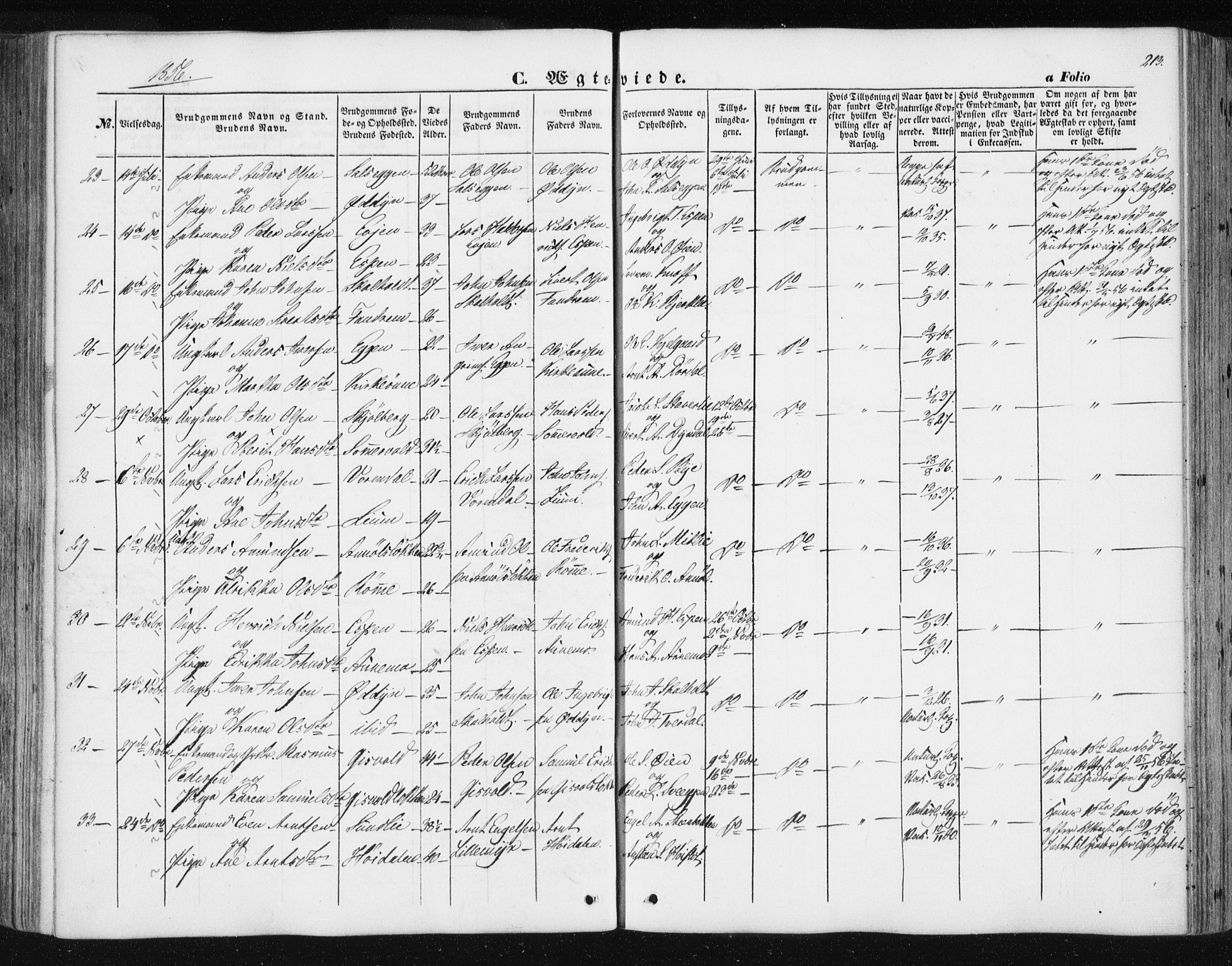 Ministerialprotokoller, klokkerbøker og fødselsregistre - Sør-Trøndelag, SAT/A-1456/668/L0806: Parish register (official) no. 668A06, 1854-1869, p. 213