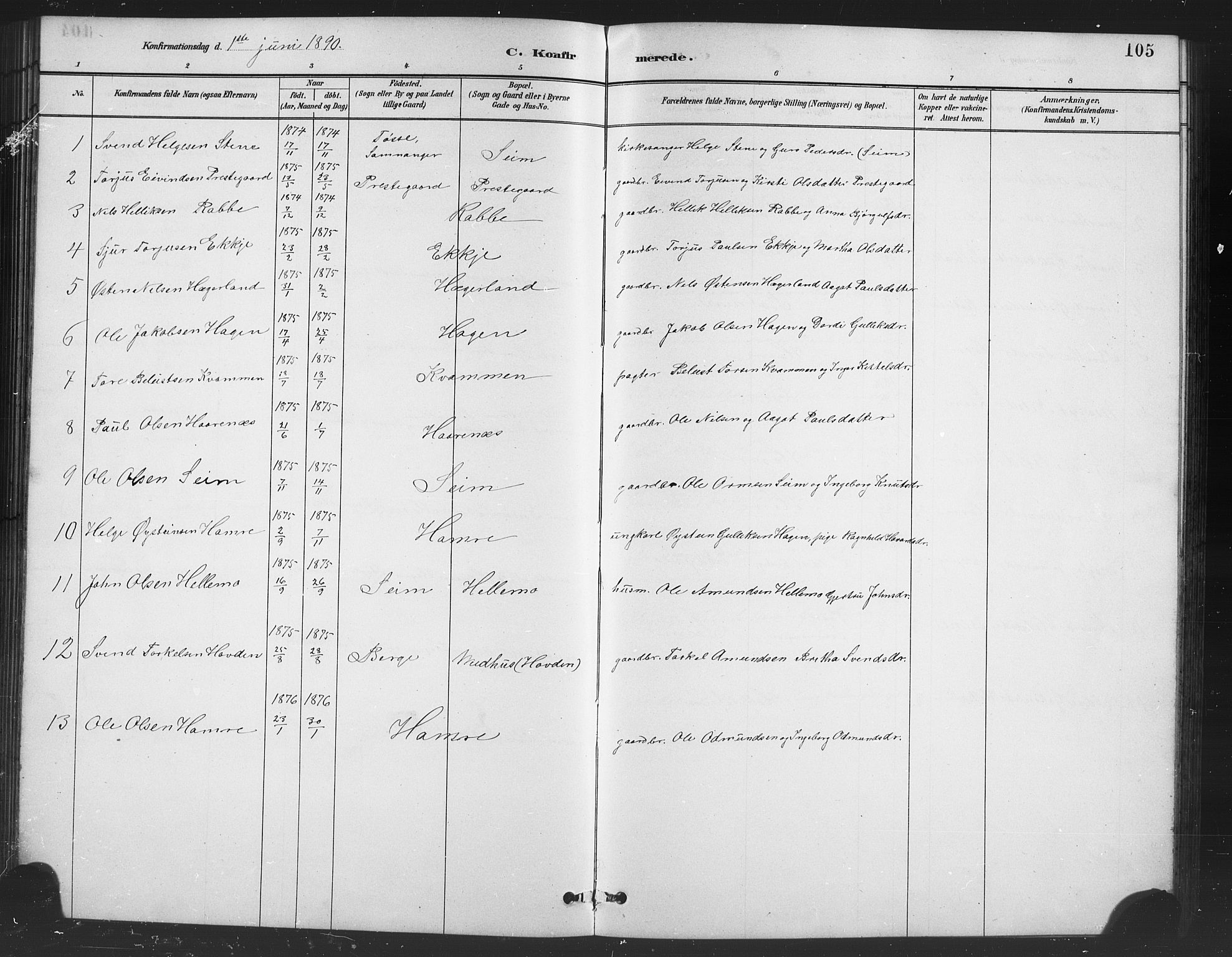 Røldal sokneprestembete, SAB/A-100247: Parish register (copy) no. A 3, 1887-1917, p. 105
