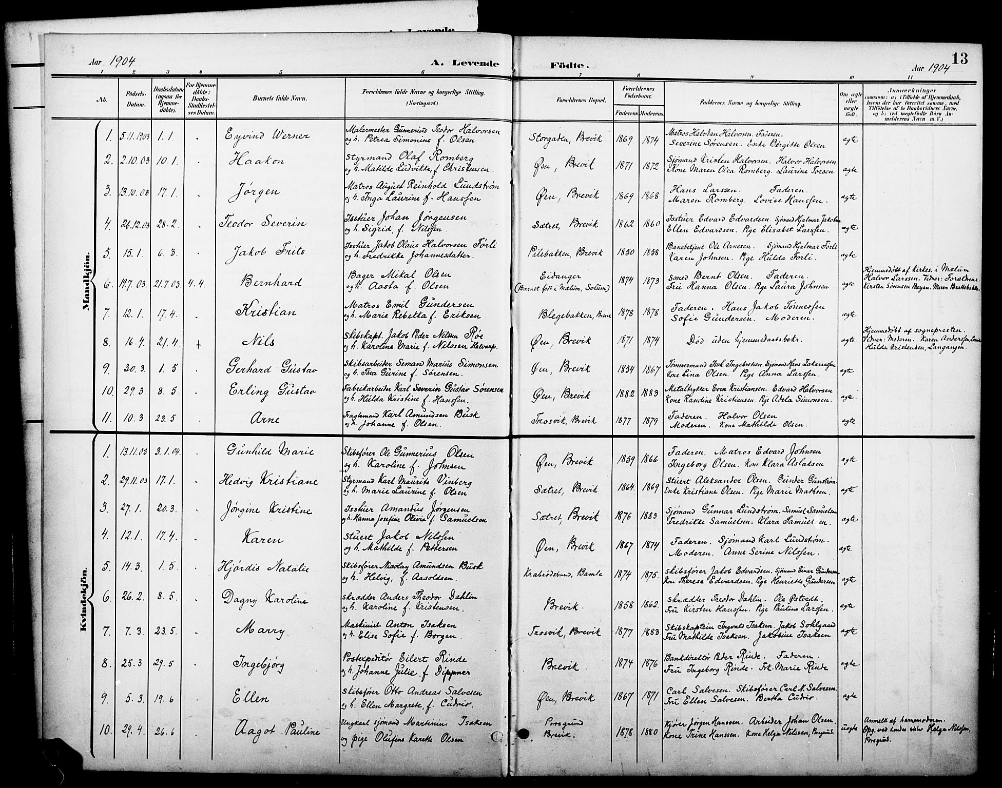 Brevik kirkebøker, SAKO/A-255/G/Ga/L0005: Parish register (copy) no. 5, 1901-1924, p. 13