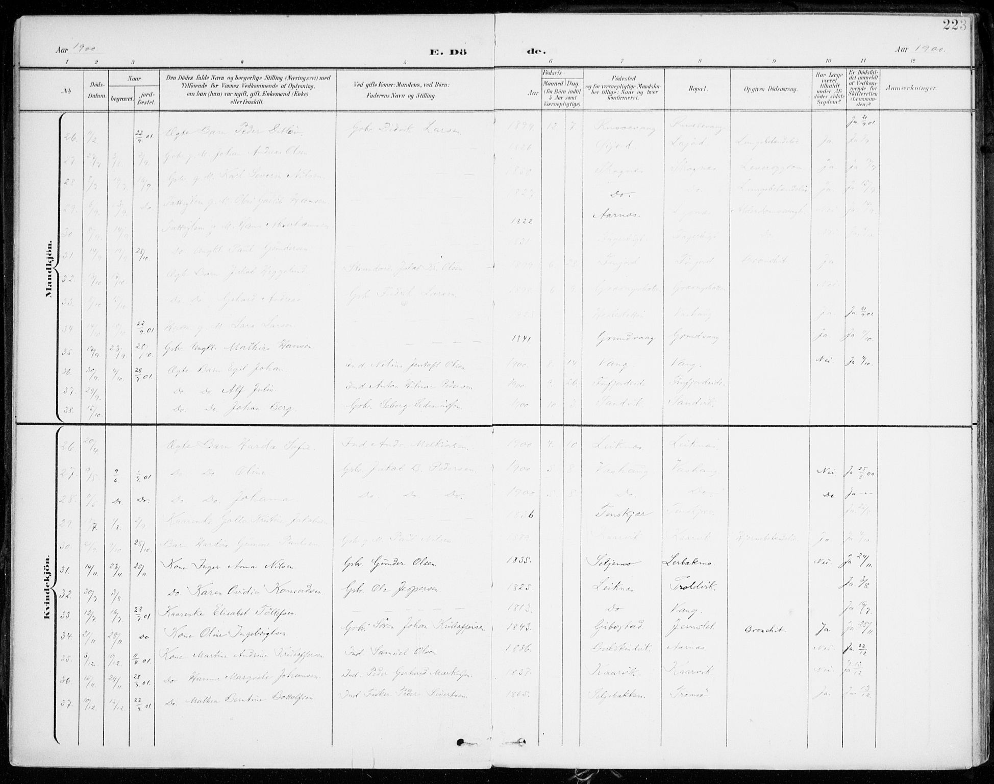 Lenvik sokneprestembete, AV/SATØ-S-1310/H/Ha/Haa/L0014kirke: Parish register (official) no. 14, 1899-1909, p. 223