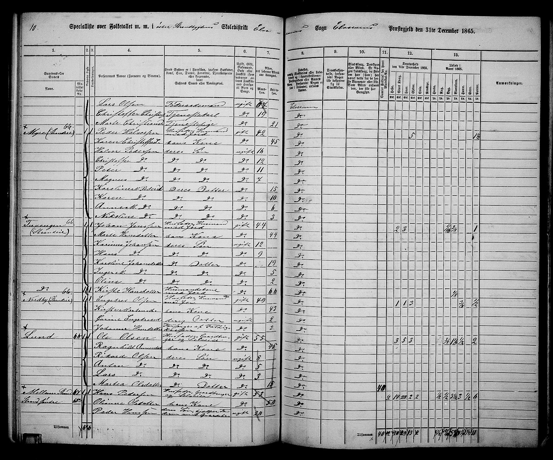 RA, 1865 census for Elverum, 1865, p. 146