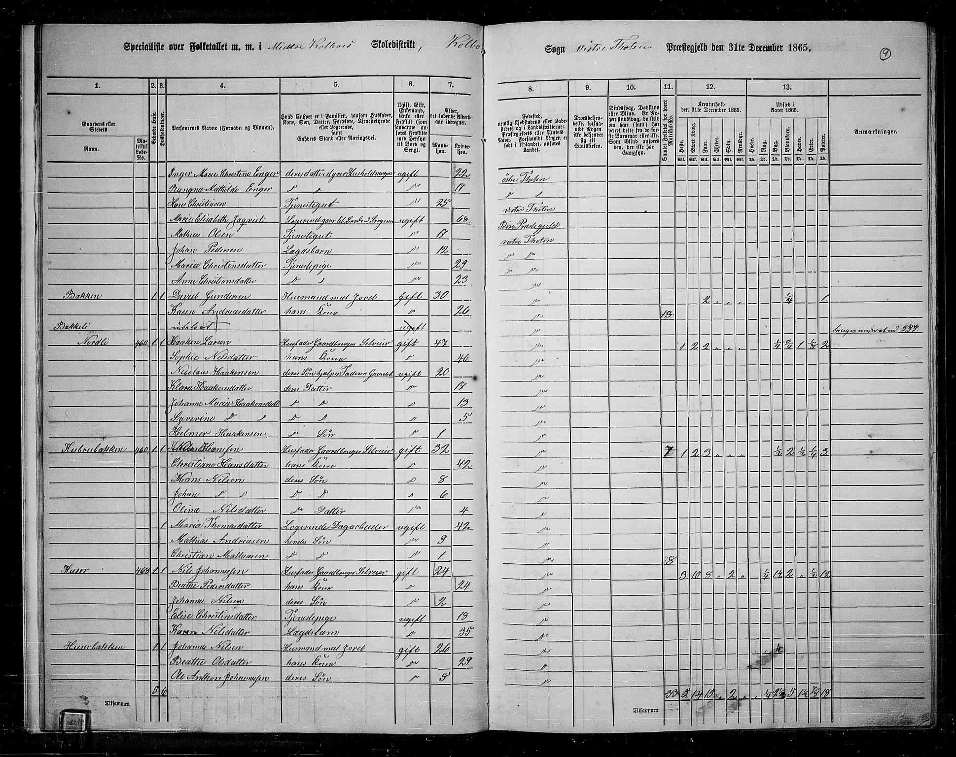 RA, 1865 census for Vestre Toten, 1865, p. 173