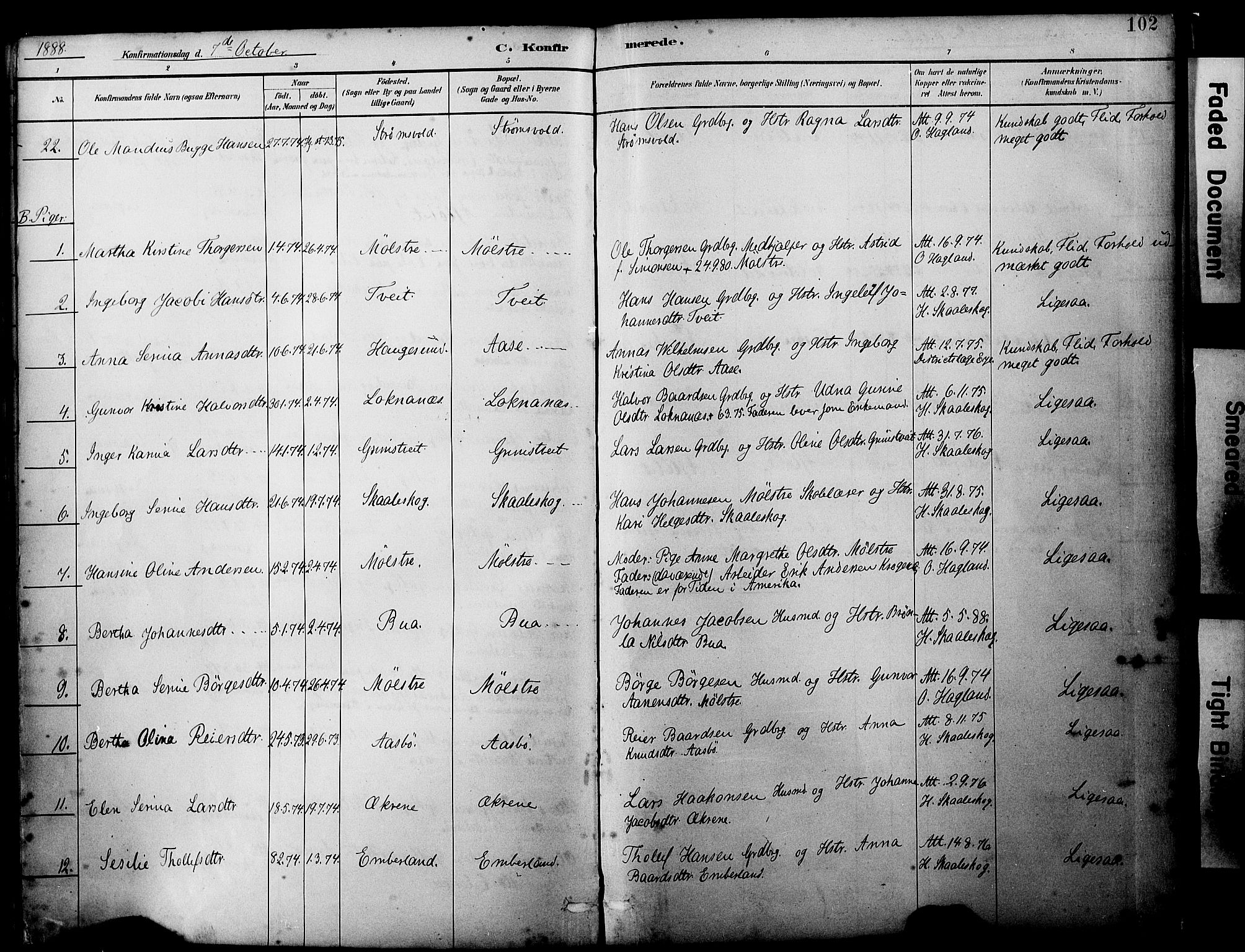 Sveio Sokneprestembete, SAB/A-78501/H/Haa: Parish register (official) no. B 2, 1883-1894, p. 102