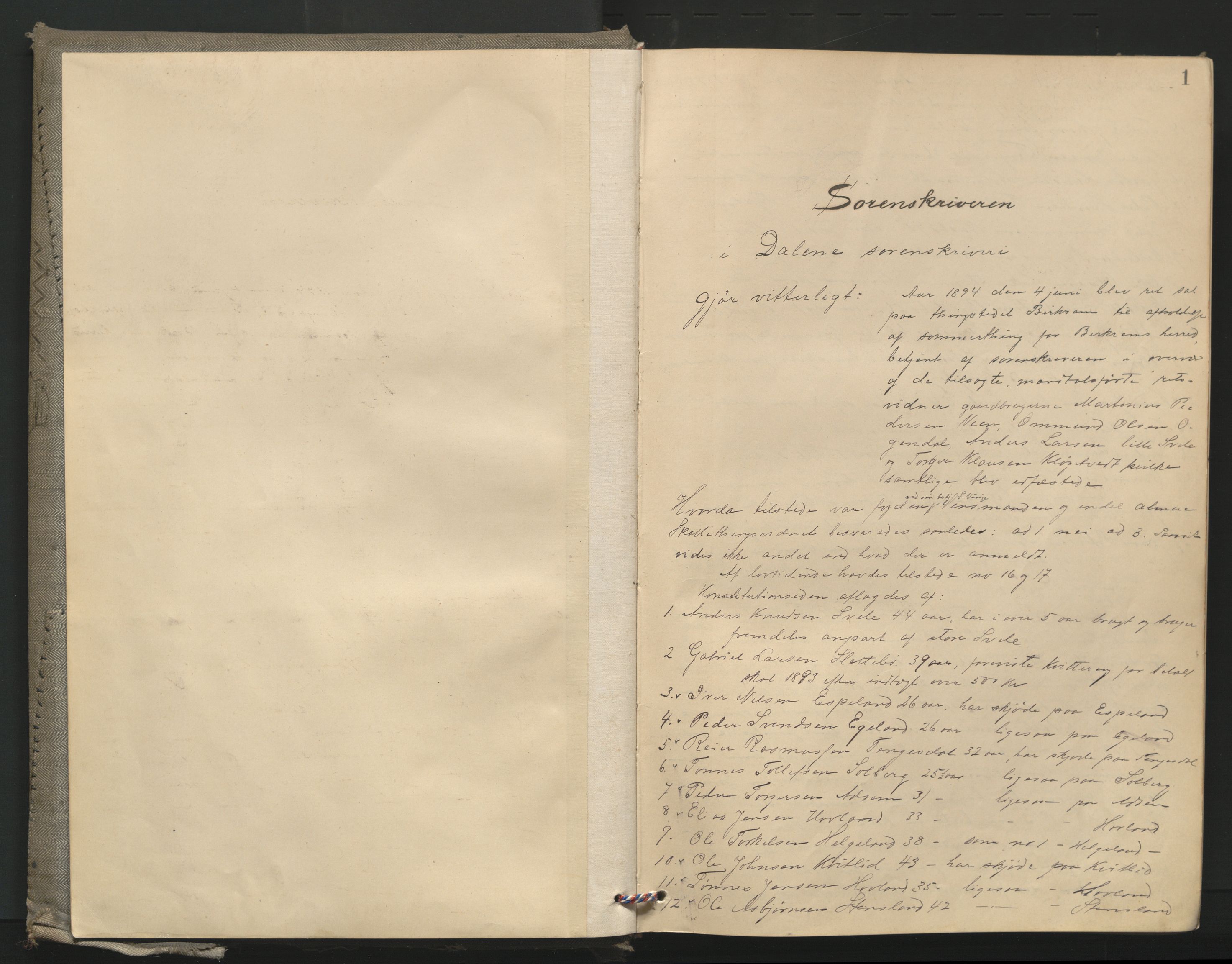 Dalane sorenskriveri, SAST/A-100309/001/3/30/30BA/L0005: TINGBOK, 1894-1898, p. 1a