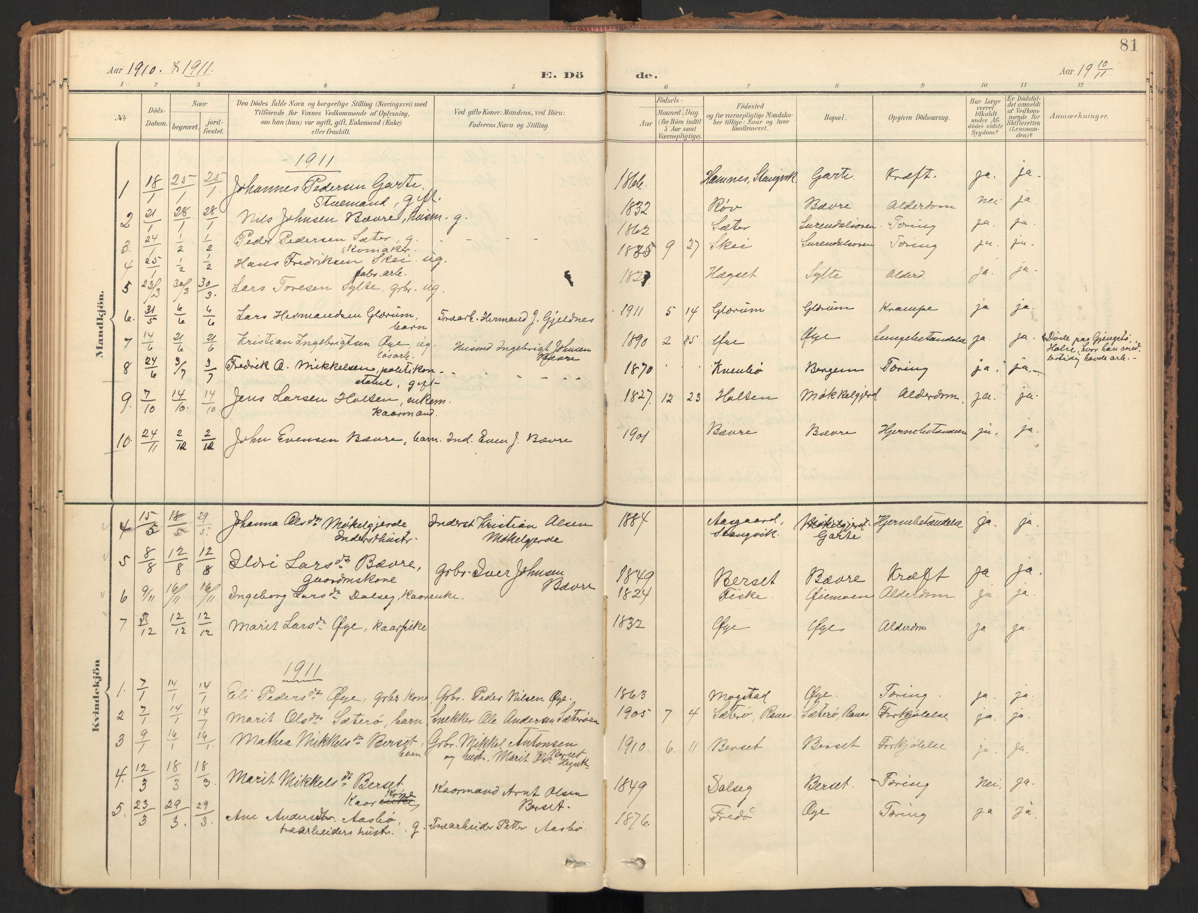 Ministerialprotokoller, klokkerbøker og fødselsregistre - Møre og Romsdal, SAT/A-1454/595/L1048: Parish register (official) no. 595A10, 1900-1917, p. 81