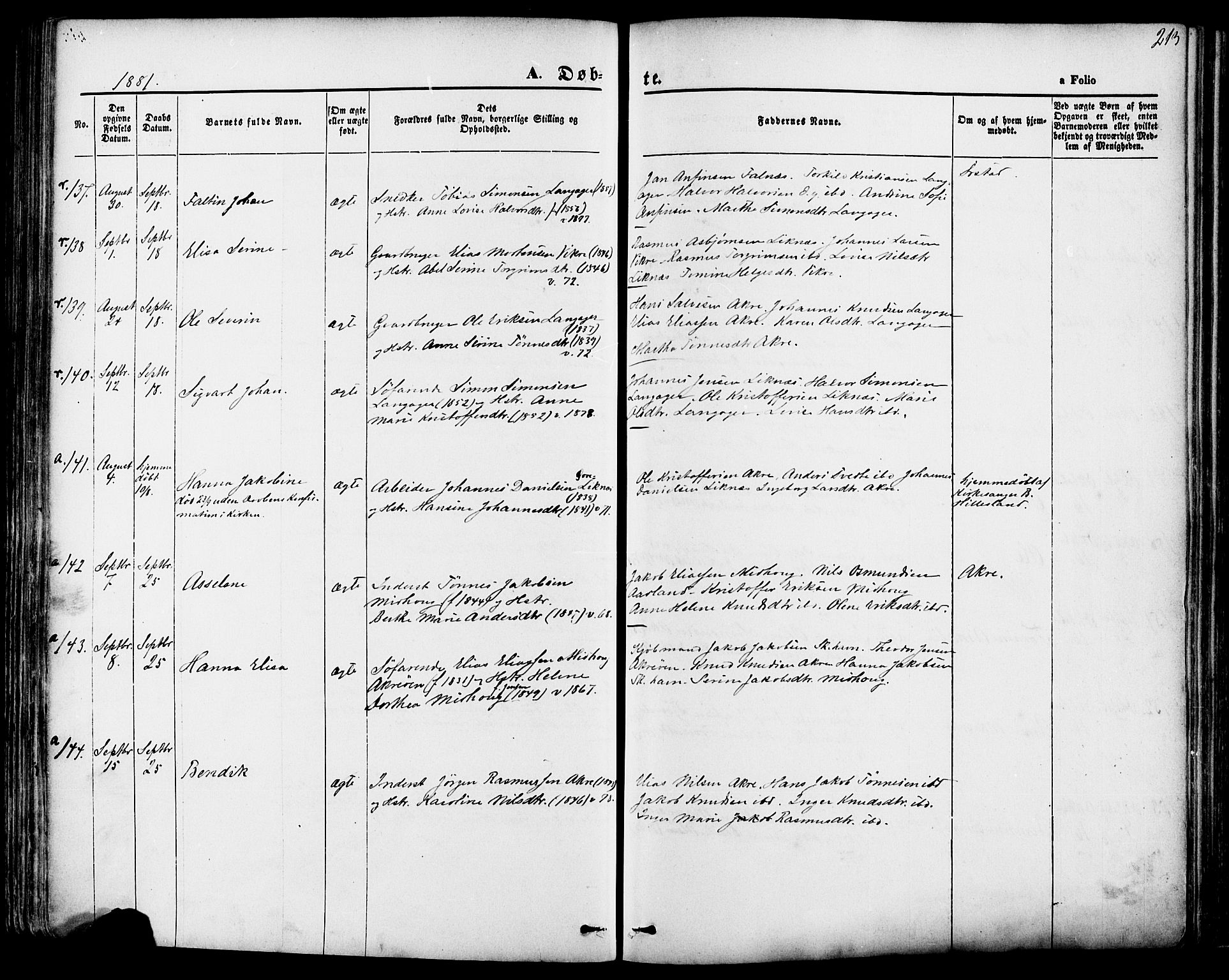 Skudenes sokneprestkontor, SAST/A -101849/H/Ha/Haa/L0006: Parish register (official) no. A 4, 1864-1881, p. 213