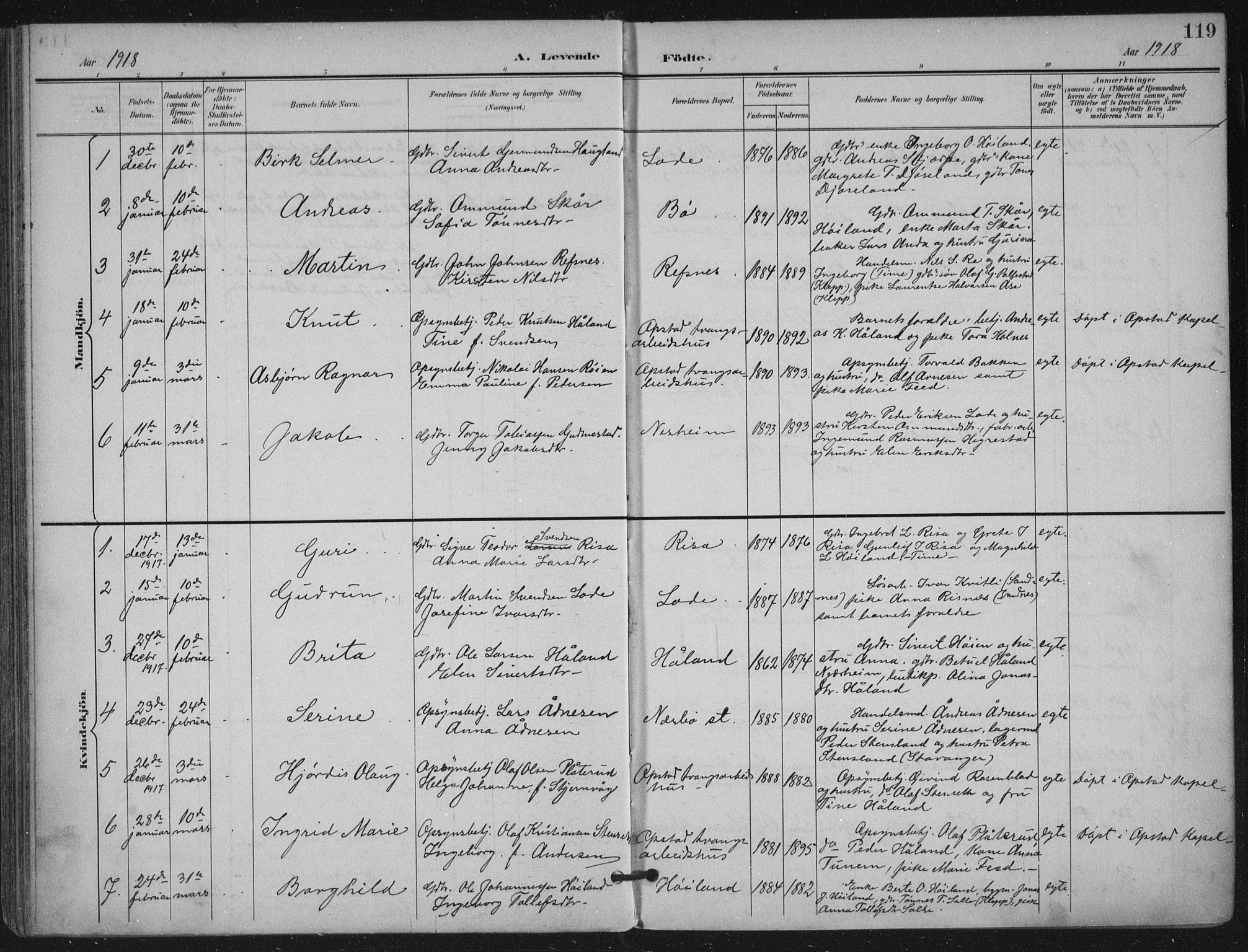 Hå sokneprestkontor, SAST/A-101801/002/B/L0001: Parish register (official) no. A 11, 1897-1924, p. 119