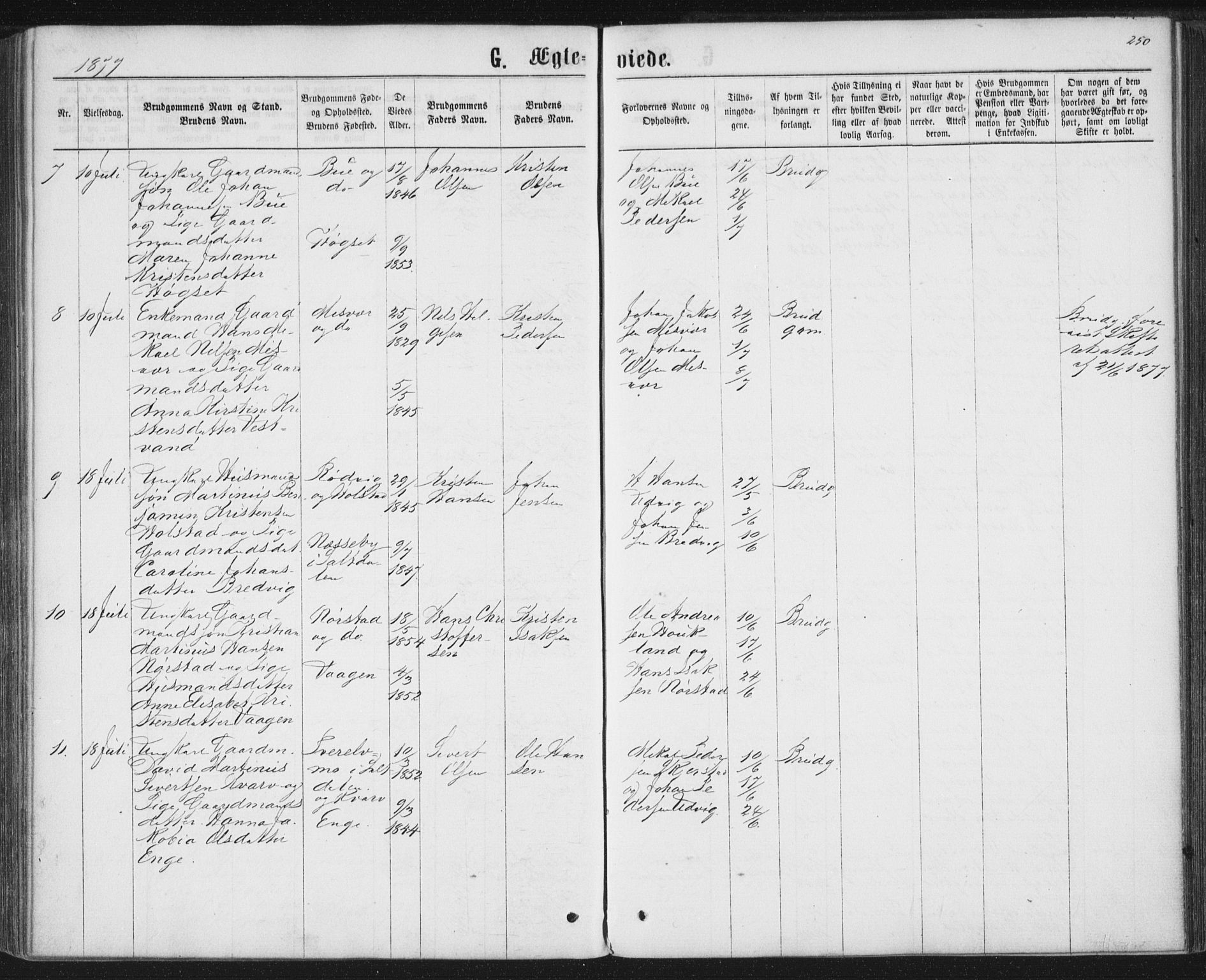 Ministerialprotokoller, klokkerbøker og fødselsregistre - Nordland, AV/SAT-A-1459/852/L0739: Parish register (official) no. 852A09, 1866-1877, p. 250