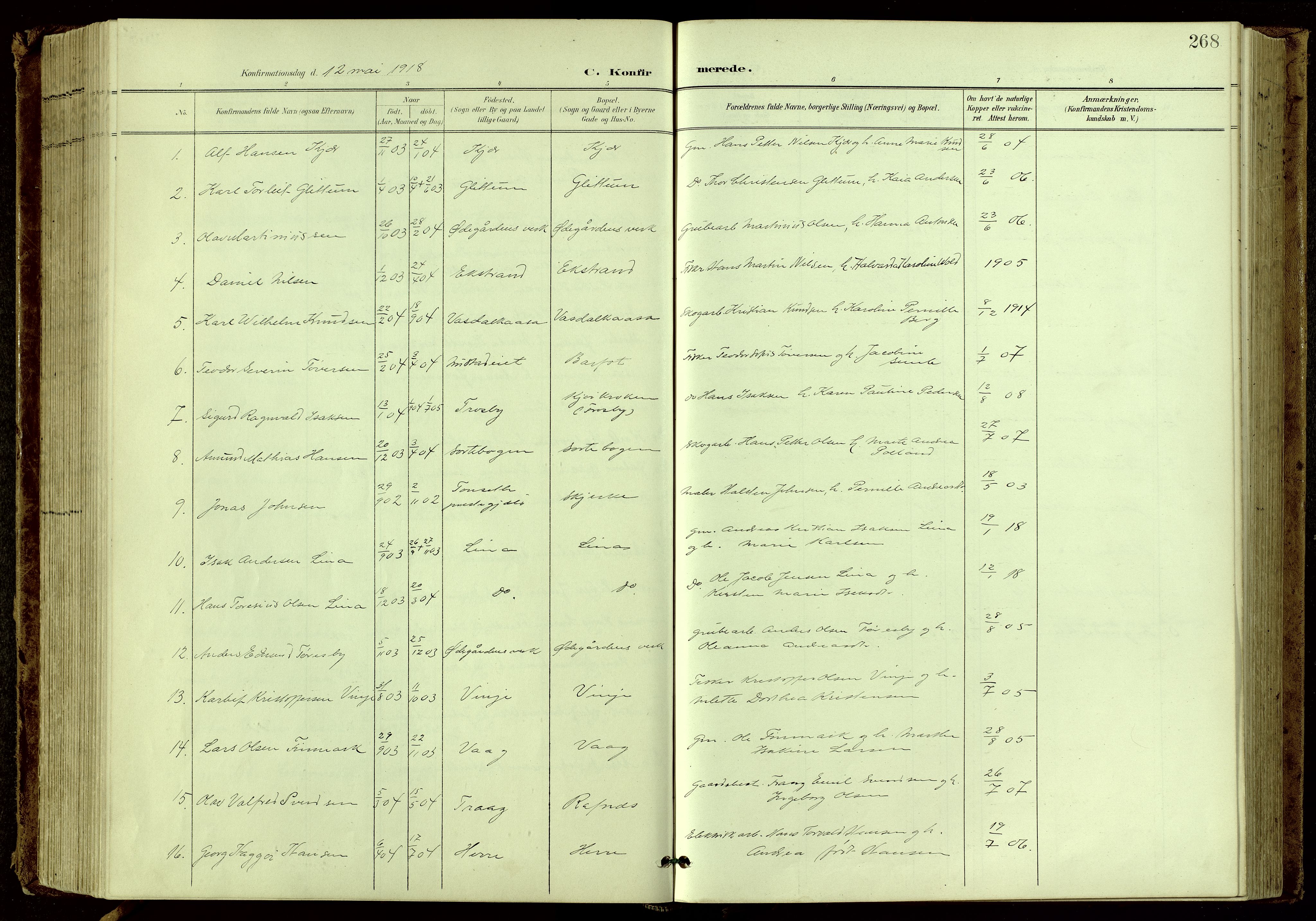 Bamble kirkebøker, SAKO/A-253/G/Ga/L0010: Parish register (copy) no. I 10, 1901-1919, p. 268