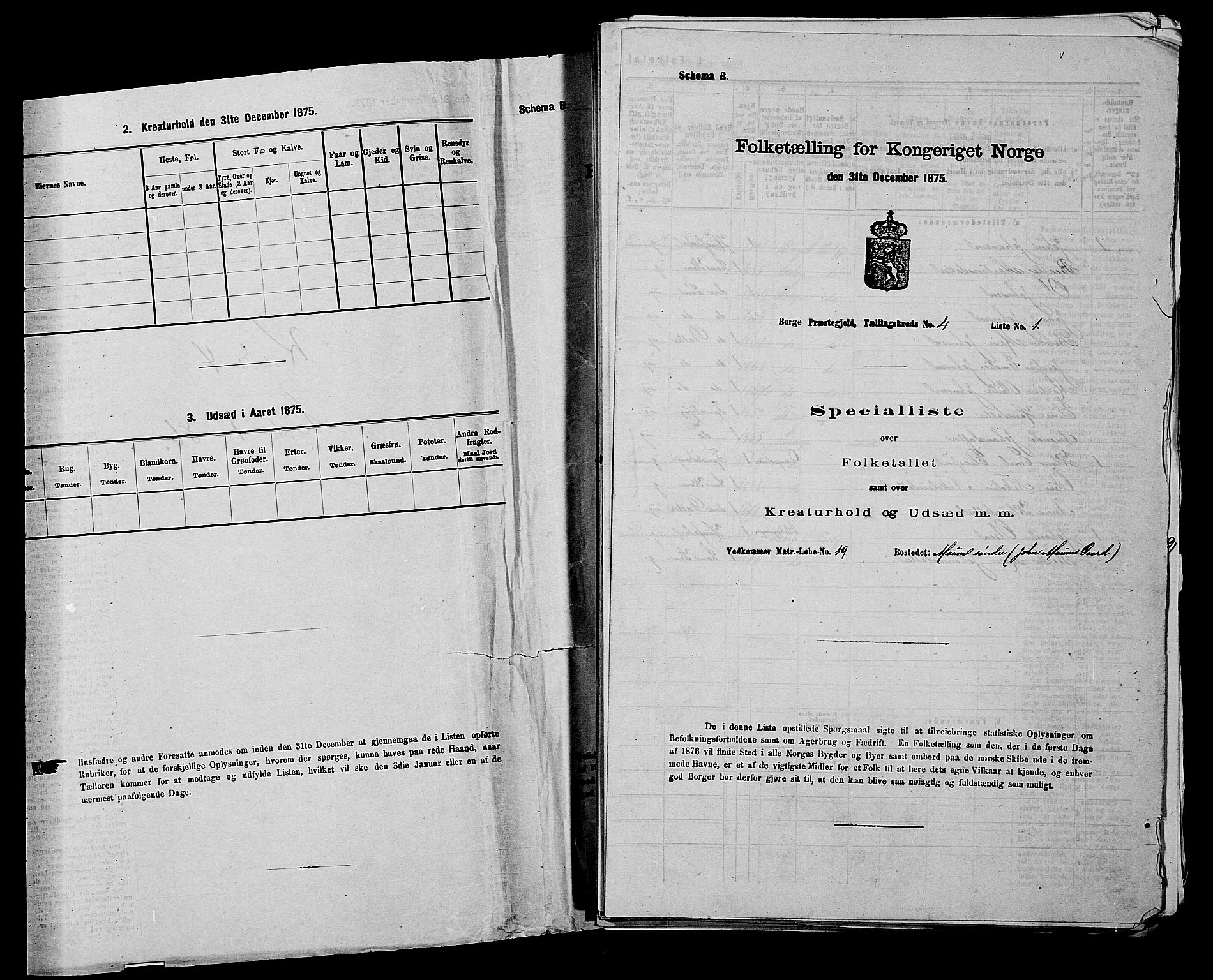 RA, 1875 census for 0113P Borge, 1875, p. 516