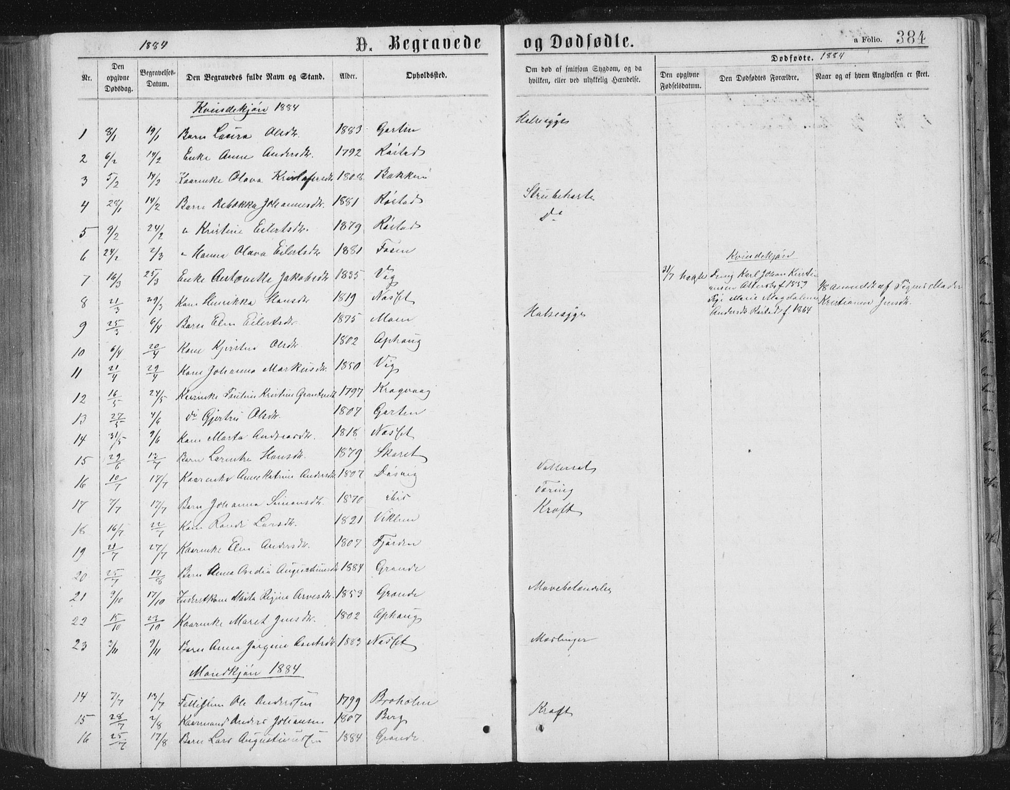 Ministerialprotokoller, klokkerbøker og fødselsregistre - Sør-Trøndelag, SAT/A-1456/659/L0745: Parish register (copy) no. 659C02, 1869-1892, p. 384