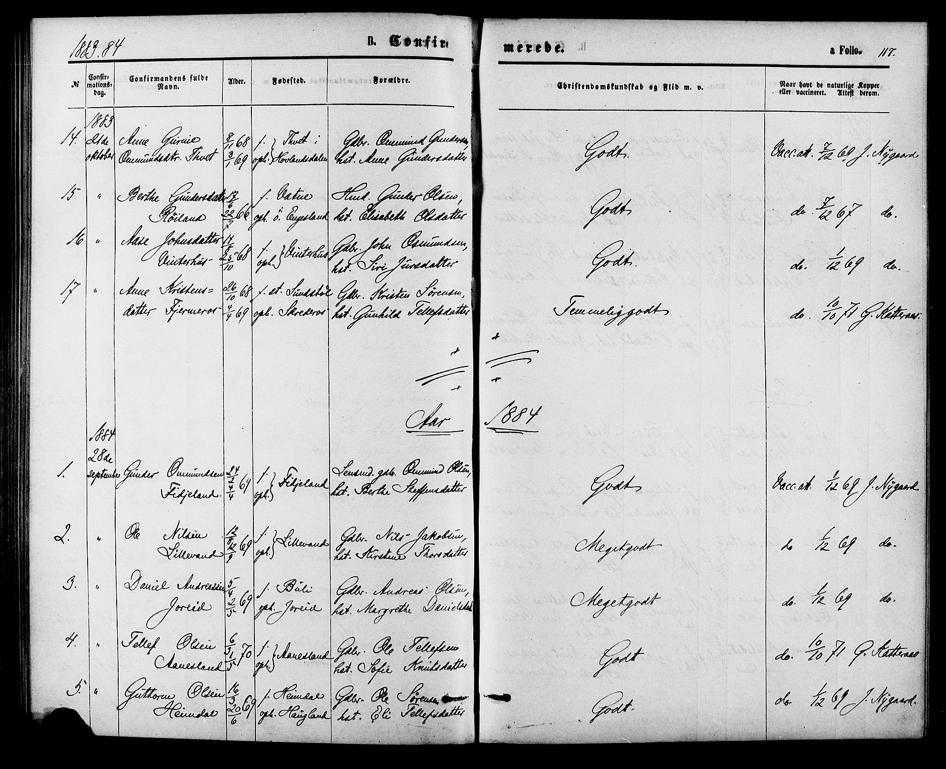 Herefoss sokneprestkontor, AV/SAK-1111-0019/F/Fa/Fab/L0003: Parish register (official) no. A 3, 1875-1886, p. 117